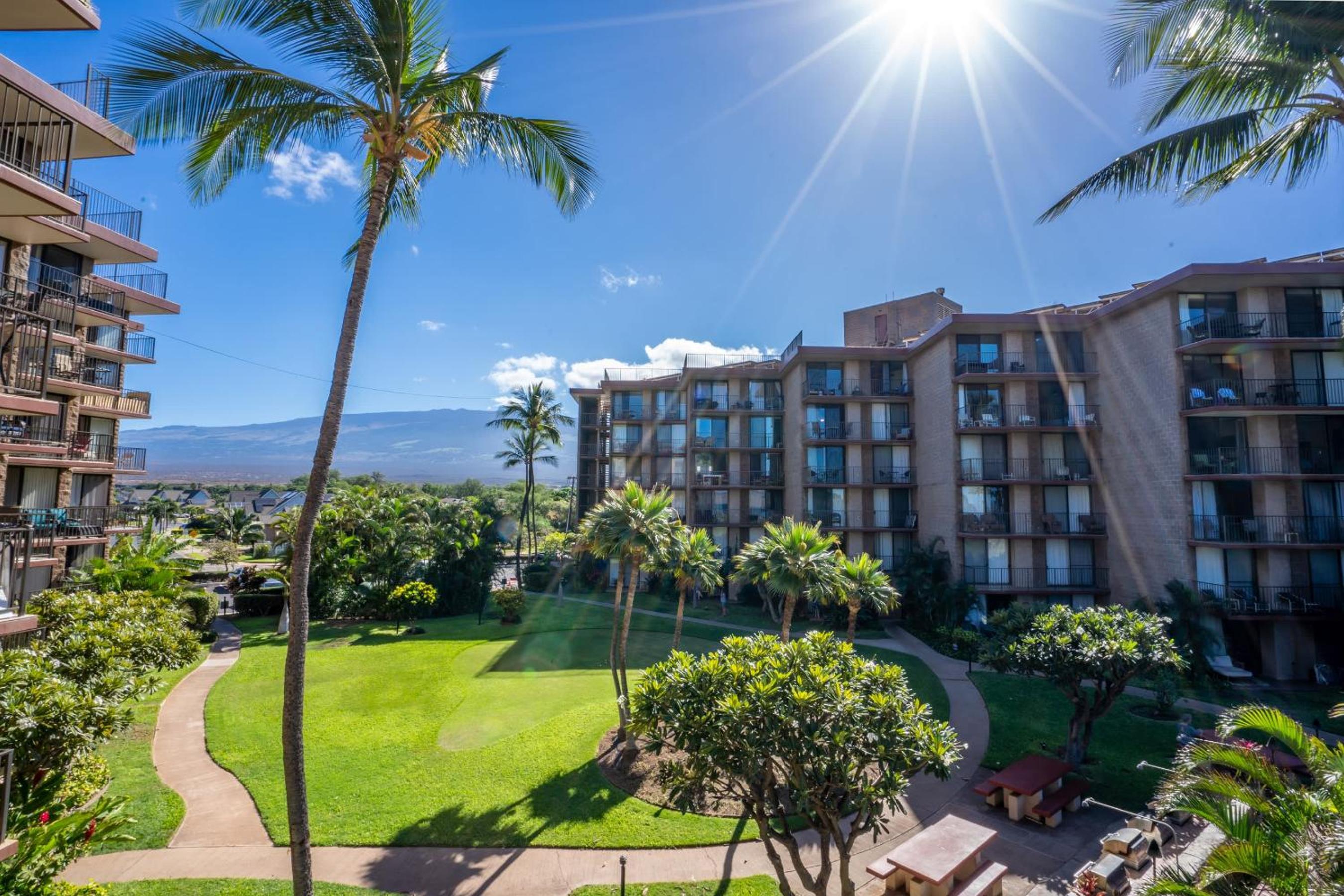 Deluxe Oceanside Resort Vistas