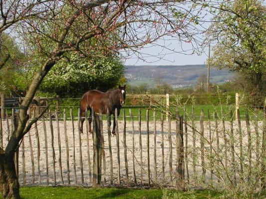Tolles Appartement In Bleyberg Mit Garten