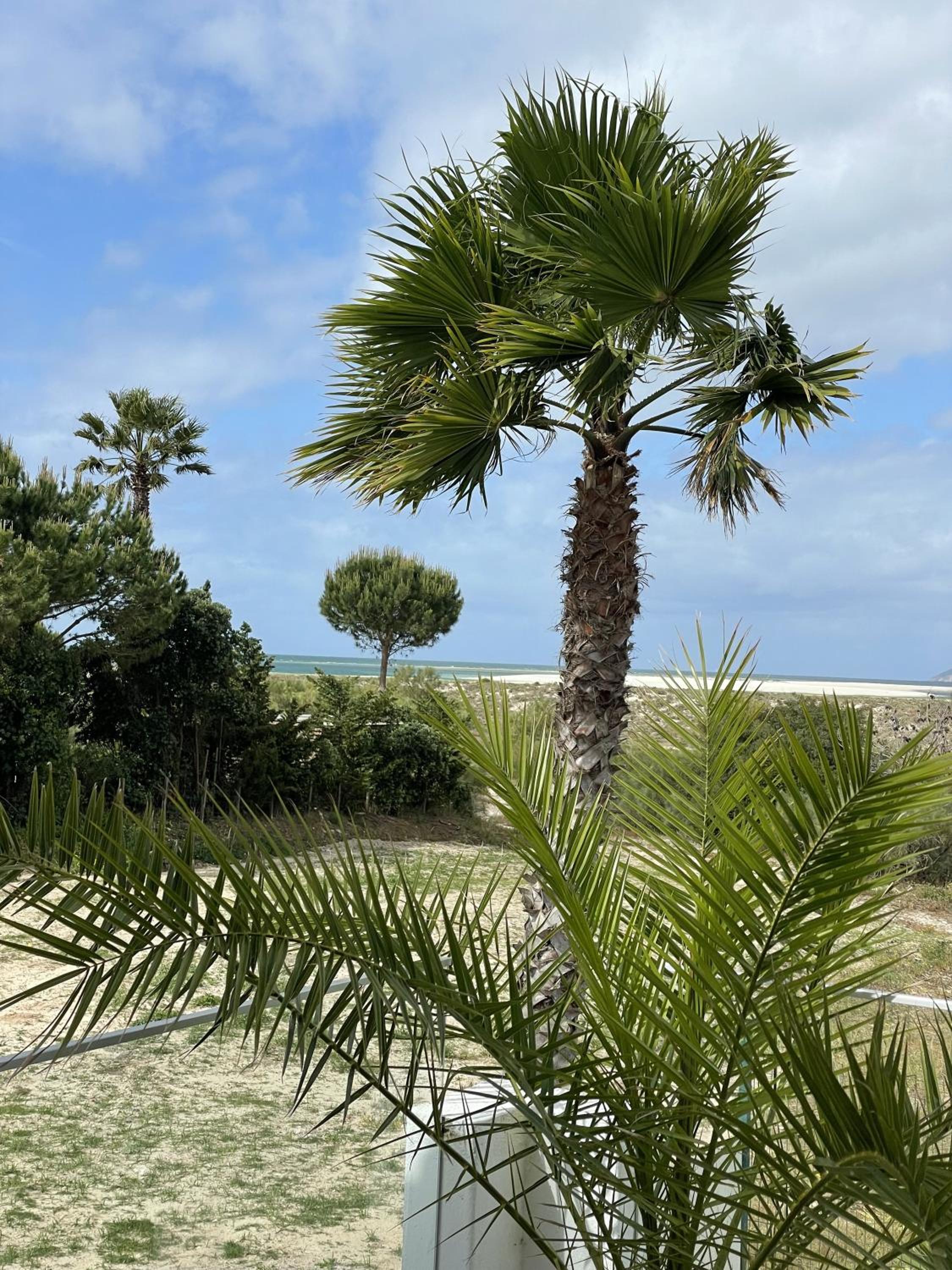 Vila Exclusiva Na Praia De Tróia