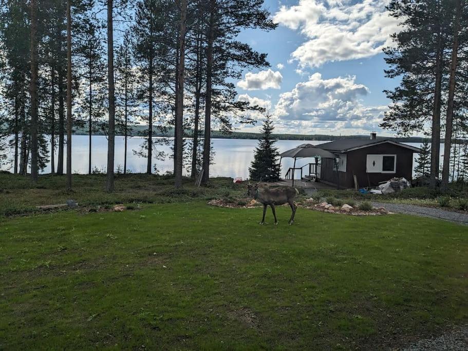 Lakeside Aurora Haven Modern 3BR Family Espace