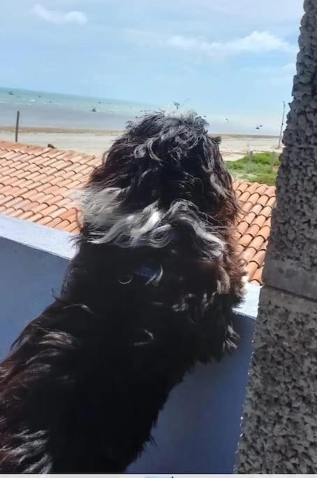 Casa de Praia, na beira da praia