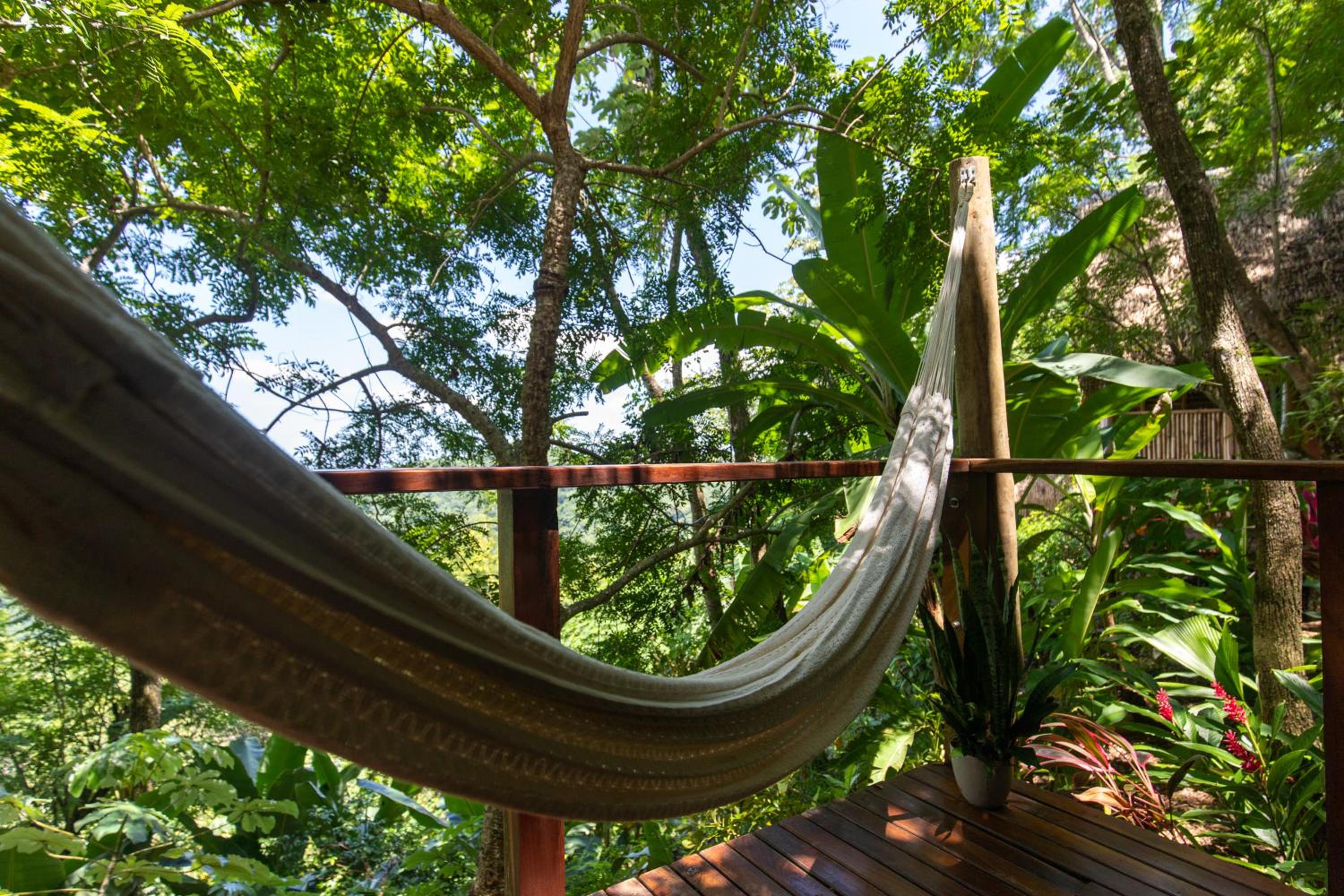 Tierra Encantada Wellness Center