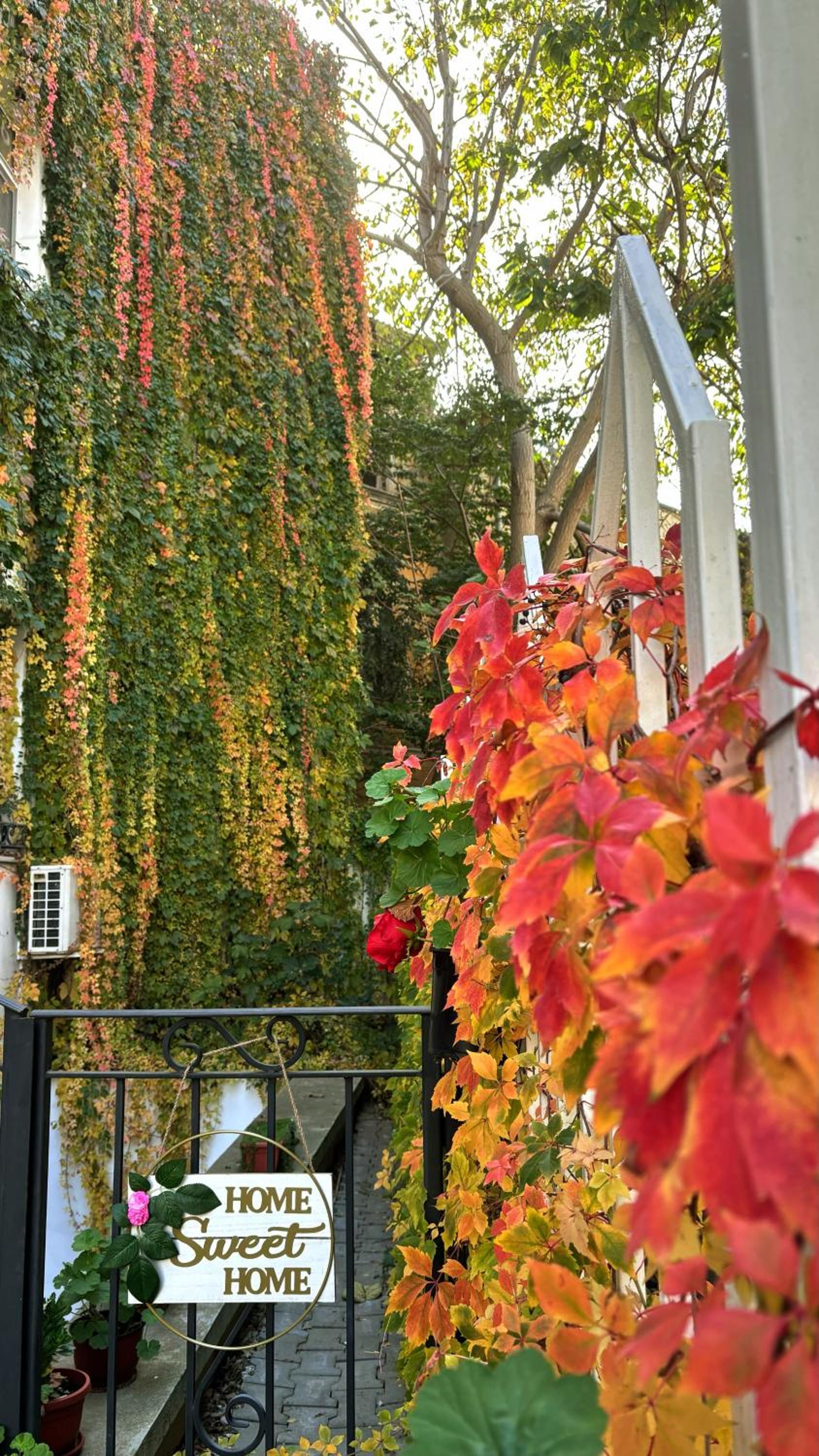 City Boutique Inn