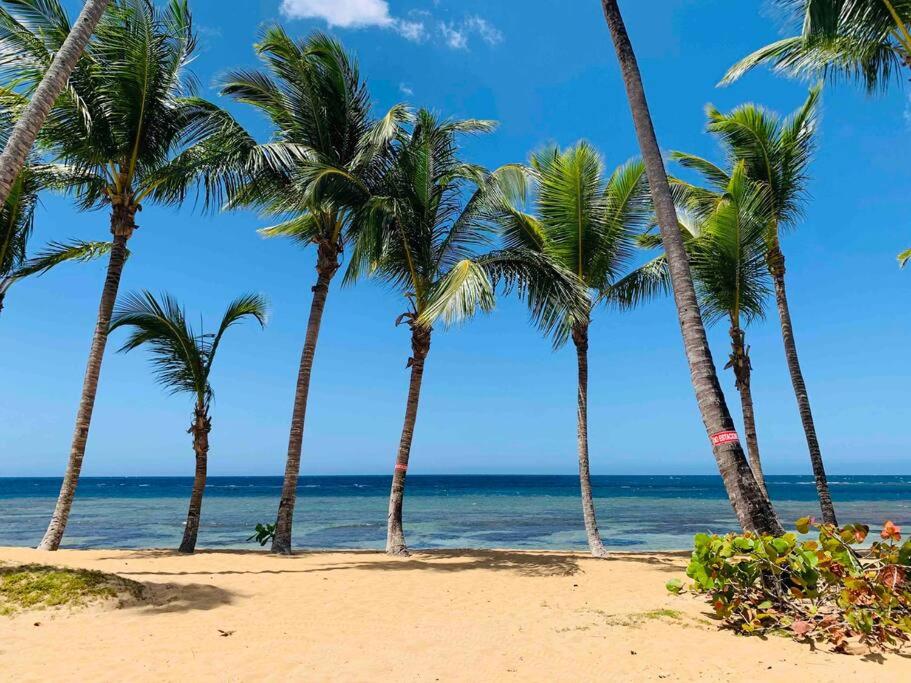 Playa Las Ballenas Oceanfront