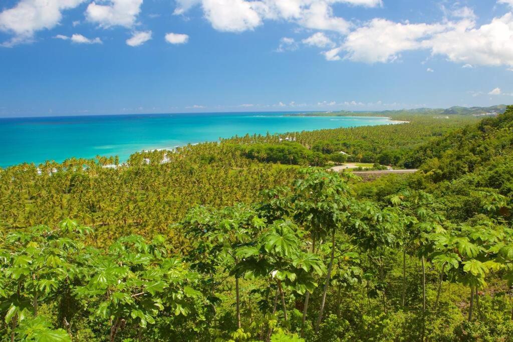 Playa Las Ballenas Oceanfront