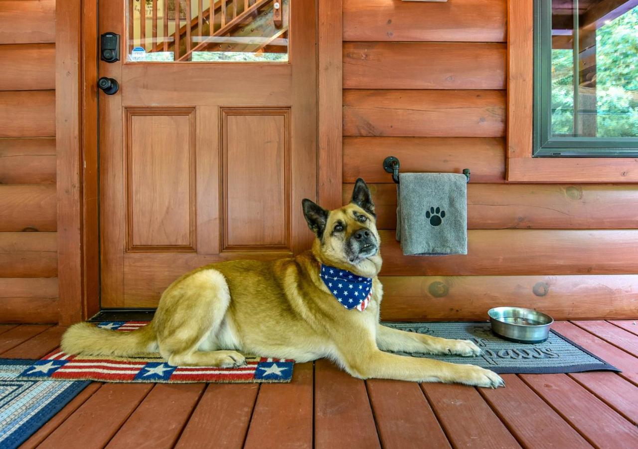 Freedom Creek Hideaway-Veteran Host-Pet Friendly-Single nights-Newly Renovated!! view 4