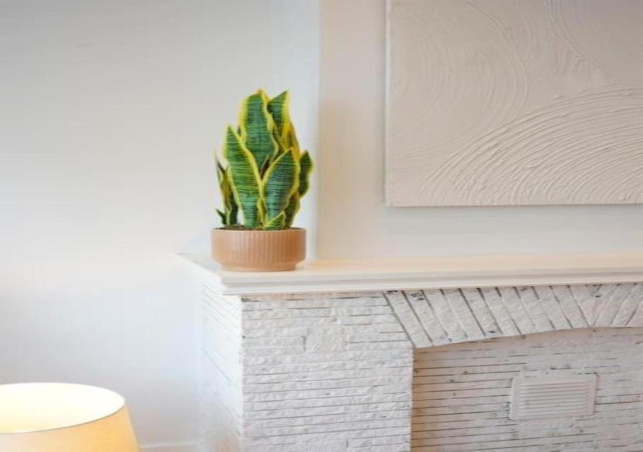 Hip & Historic Stay Antwerp