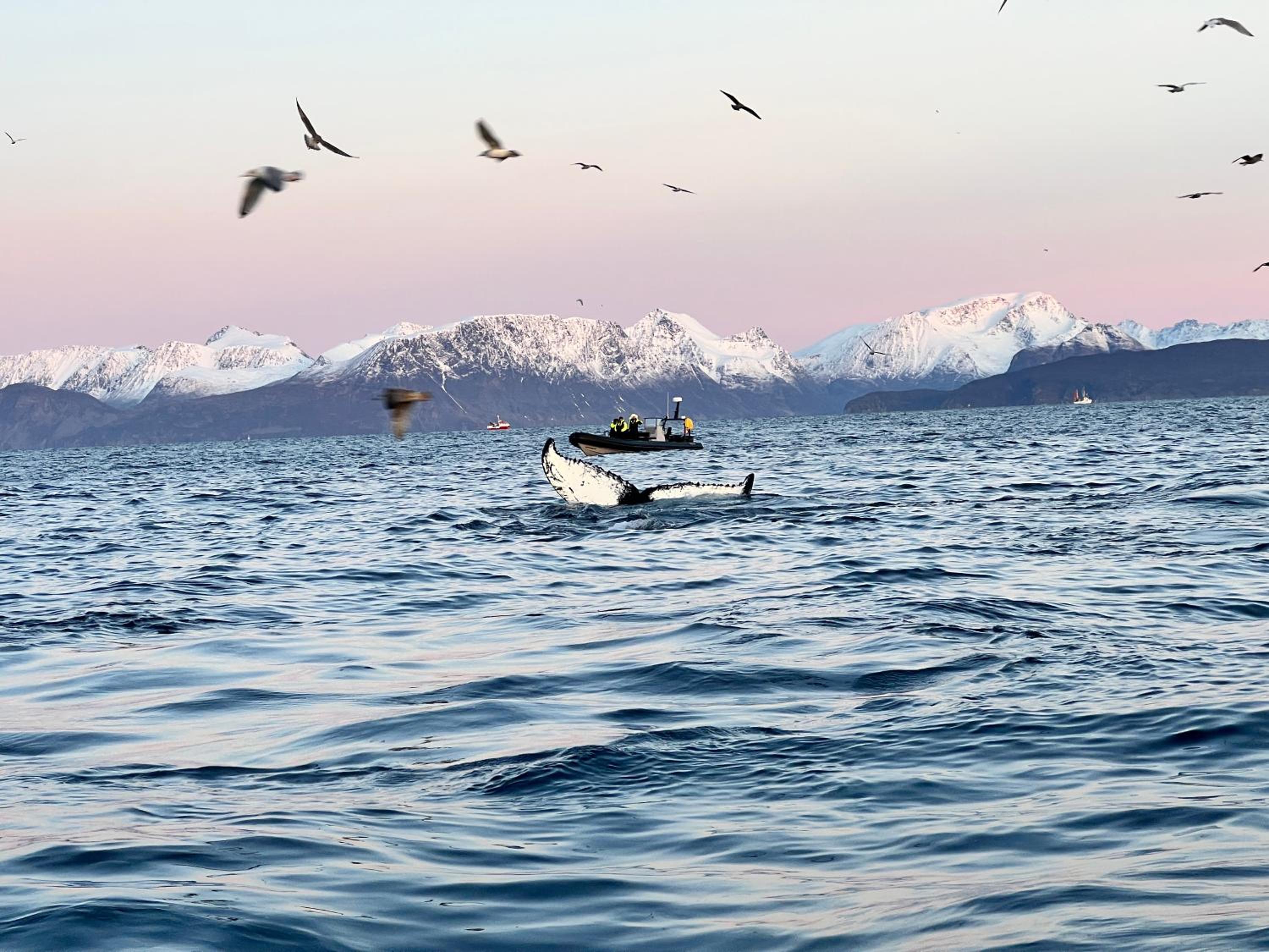 other