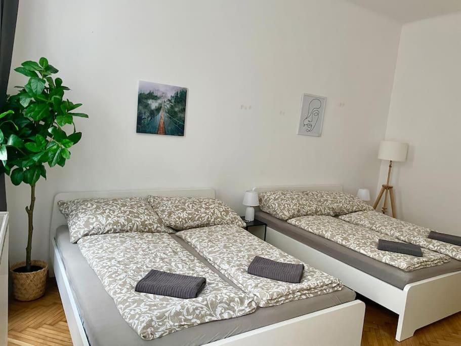 Premium Apartment with Terrace - Free Parking