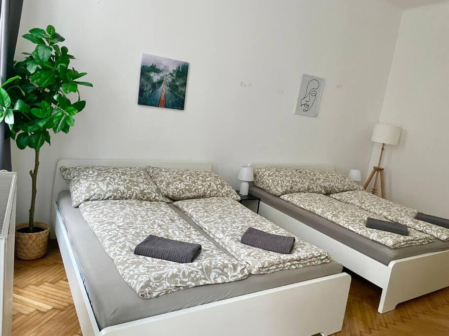 Premium Apartment with Terrace - Free Parking