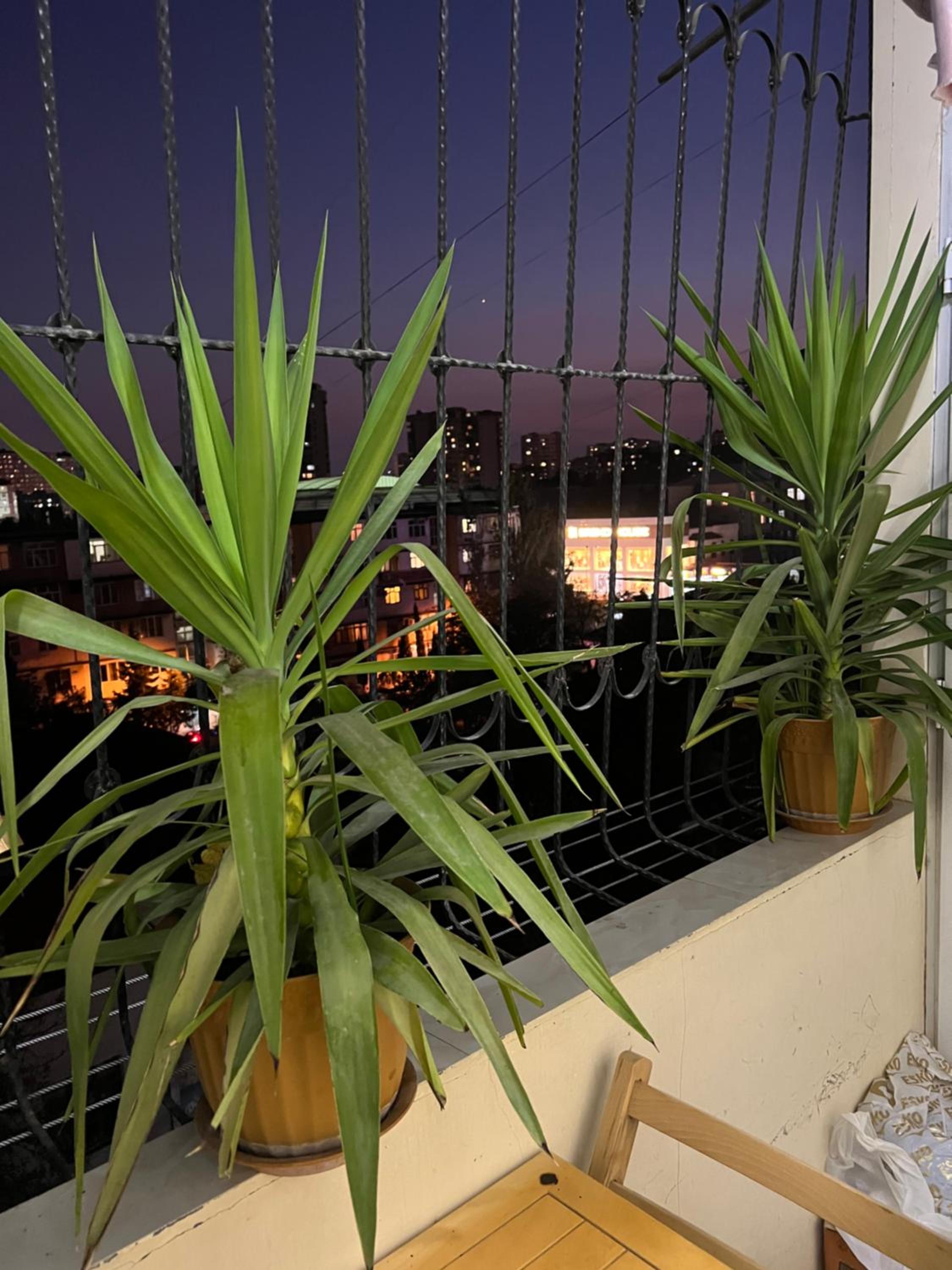 Apartament near Metro