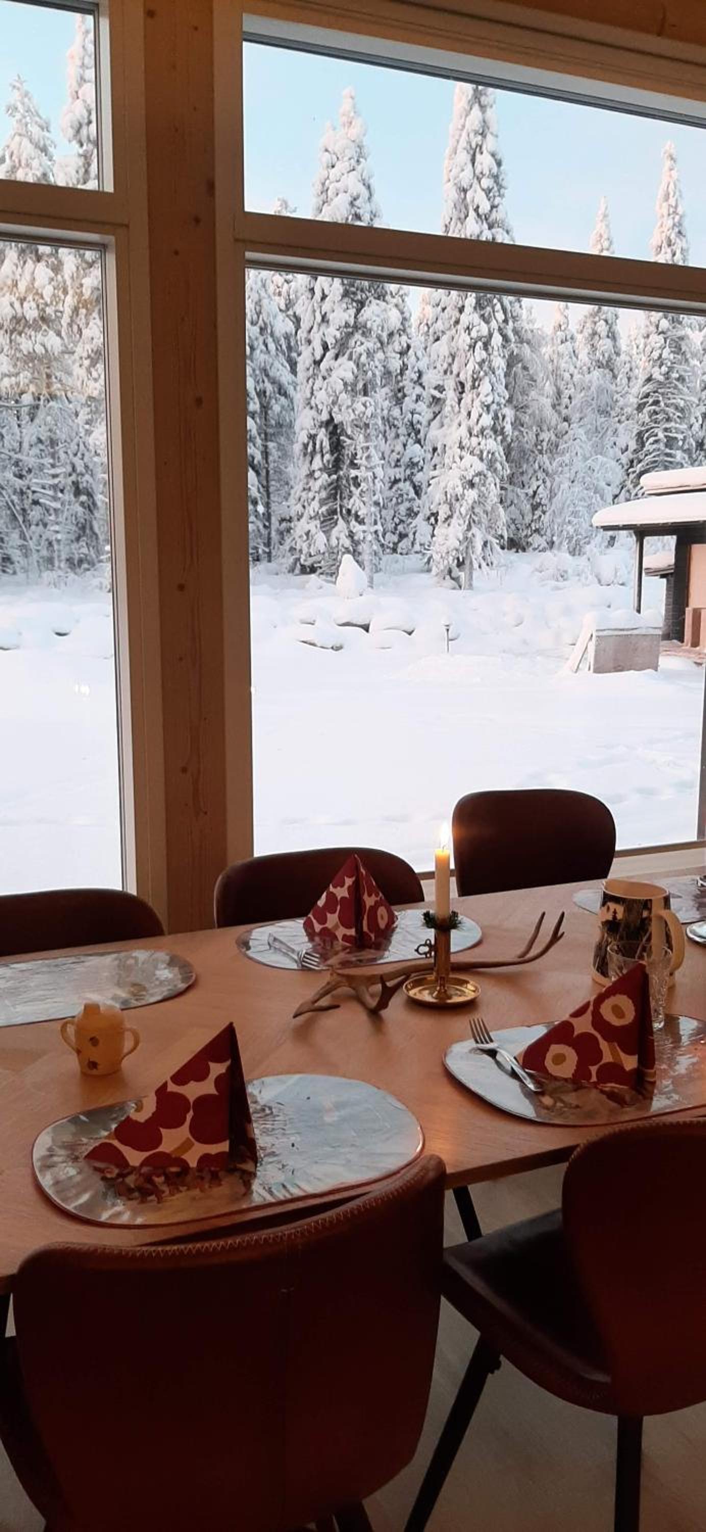 Arctic Giantlog Villa