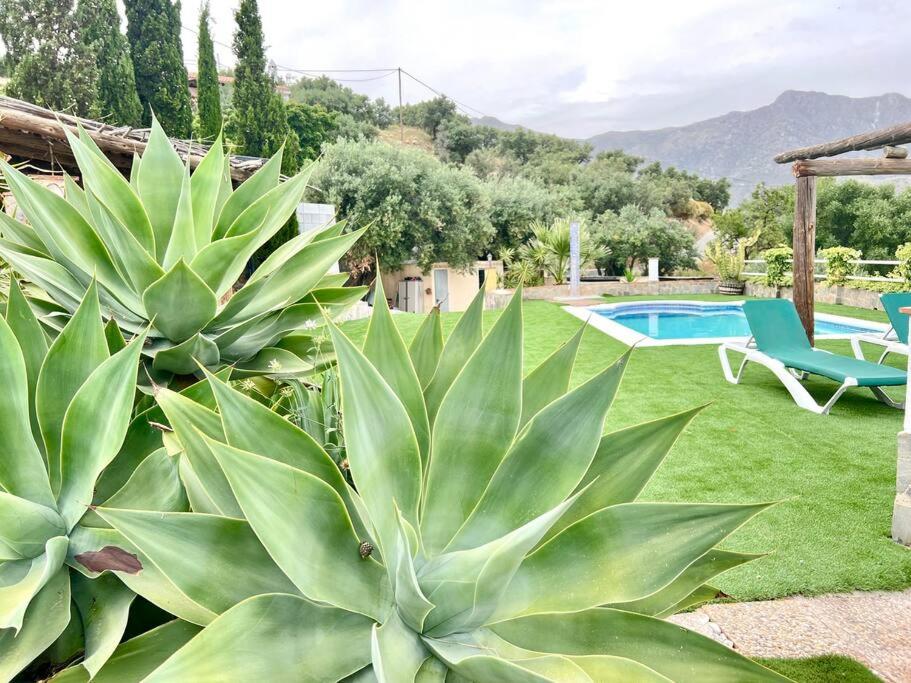 RentitSpain Rincón Andaluz Entorno natural, vistas y piscina