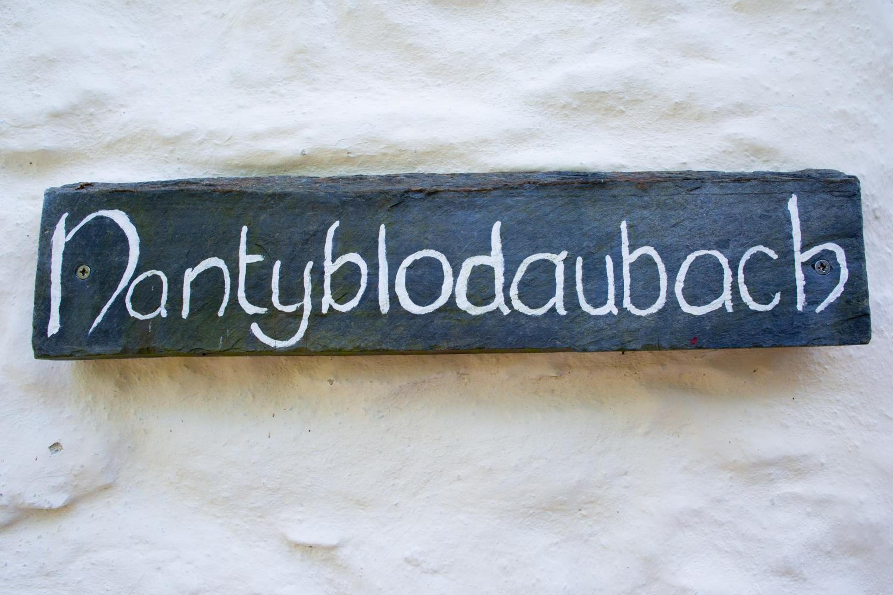 Nantyblodau Bach Newport