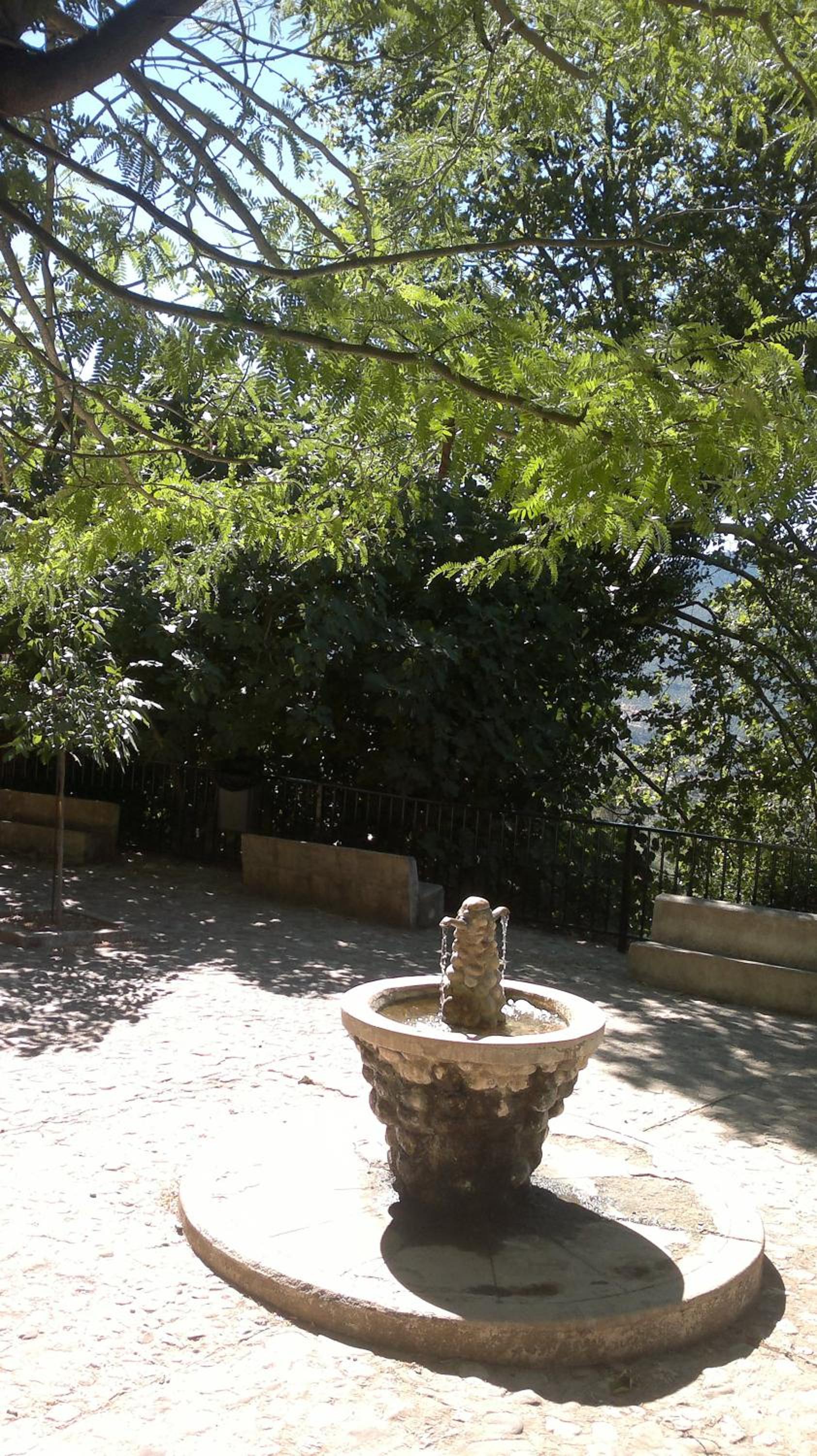 Photo 47