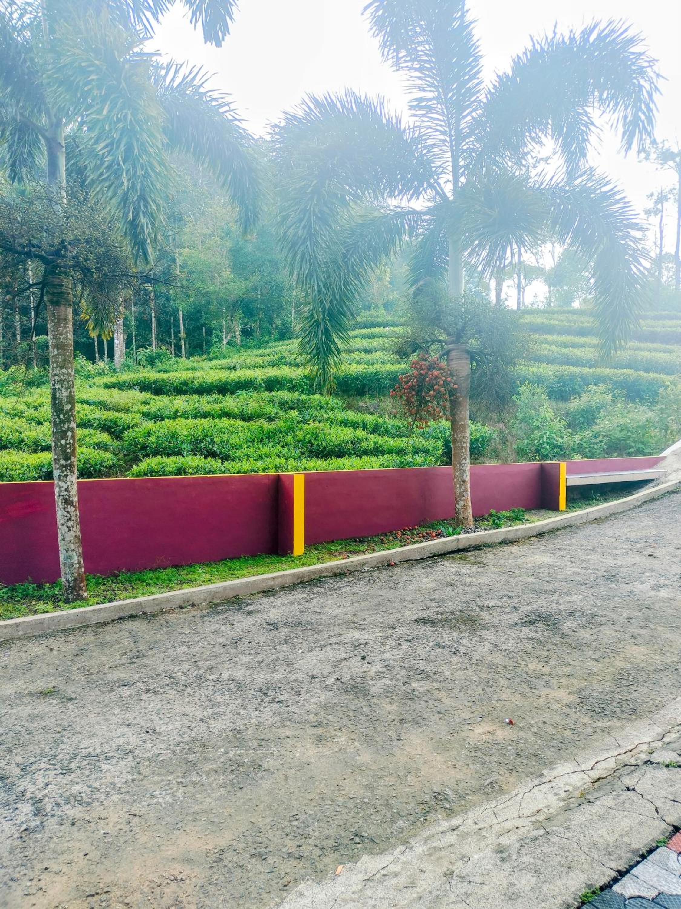 MAVERICK HOLIDAYS INn VAGAMON RESORT 3 view 4