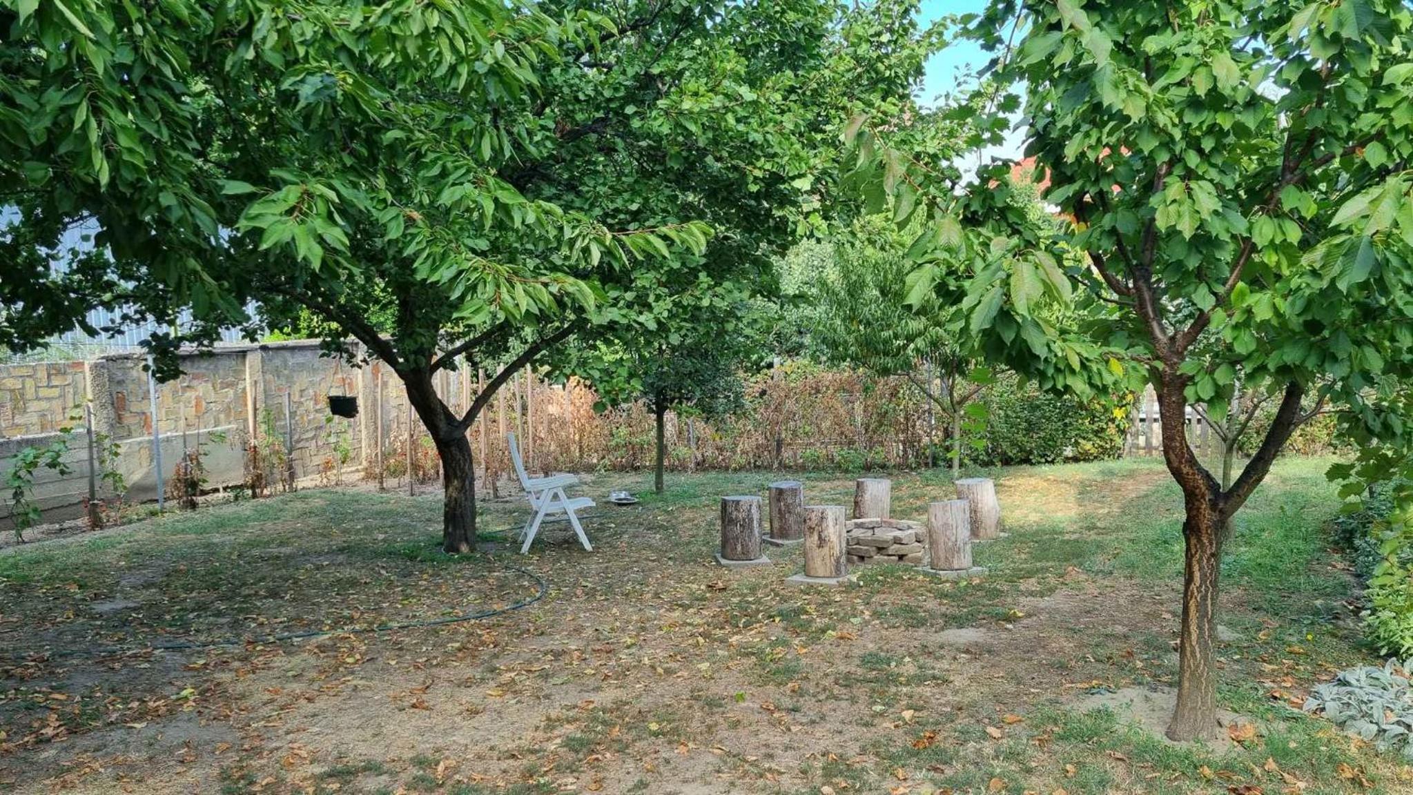 Photo 26