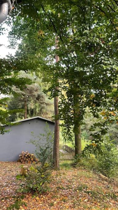 Ferienhaus mit Privatsauna