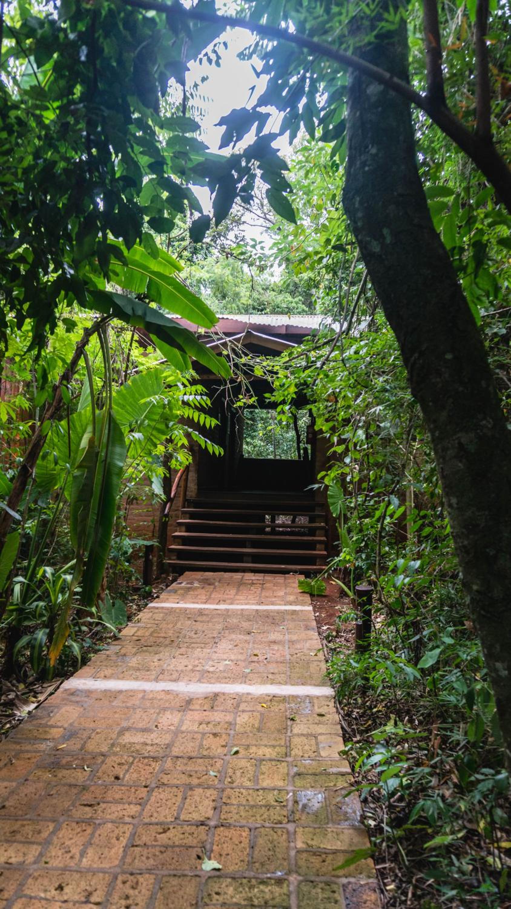 La Aldea De La Selva Lodge