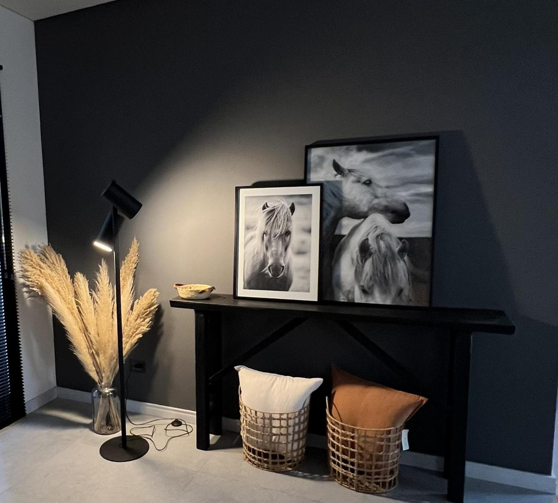 RentUp - Diseño exclusivo espacios unicos Tessalia Casa Polo