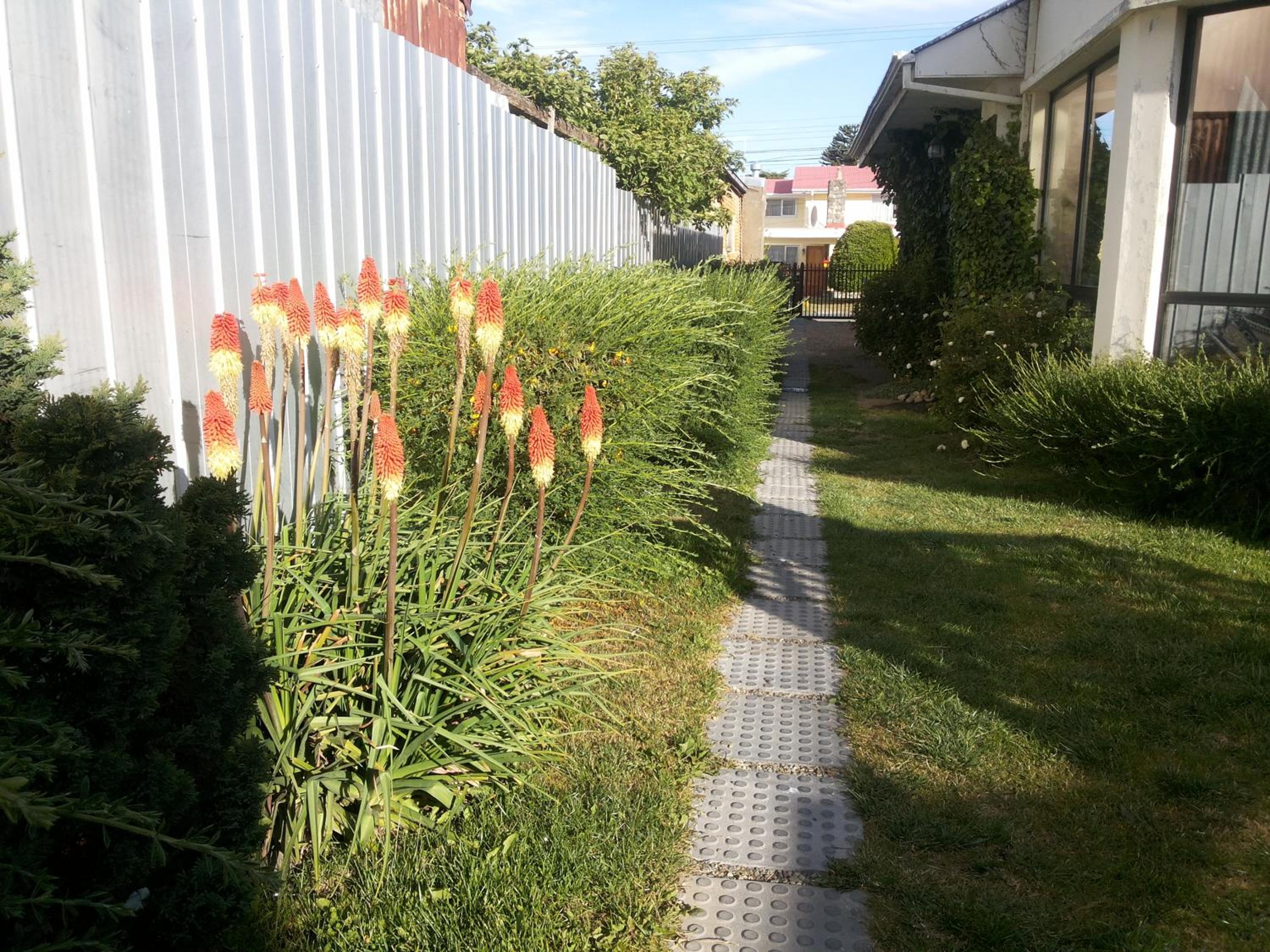 Photo 57