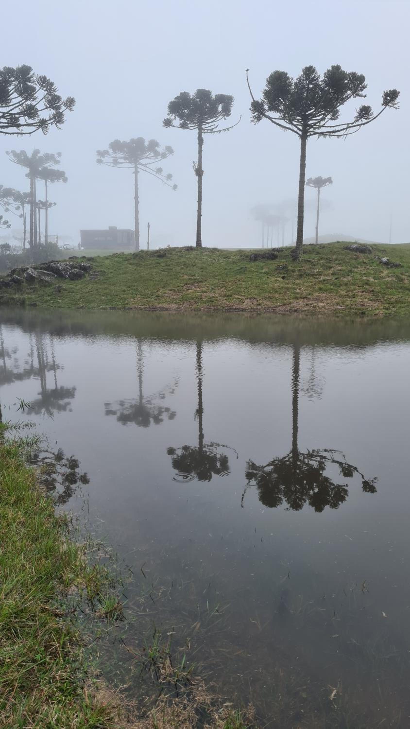 Brumas Casa de Campo - Cambará do Sul