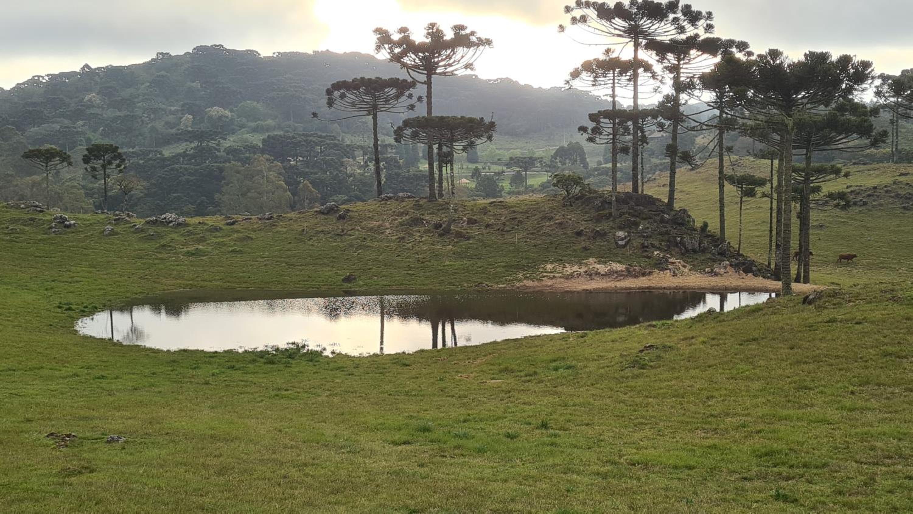 Brumas Casa de Campo - Cambará do Sul