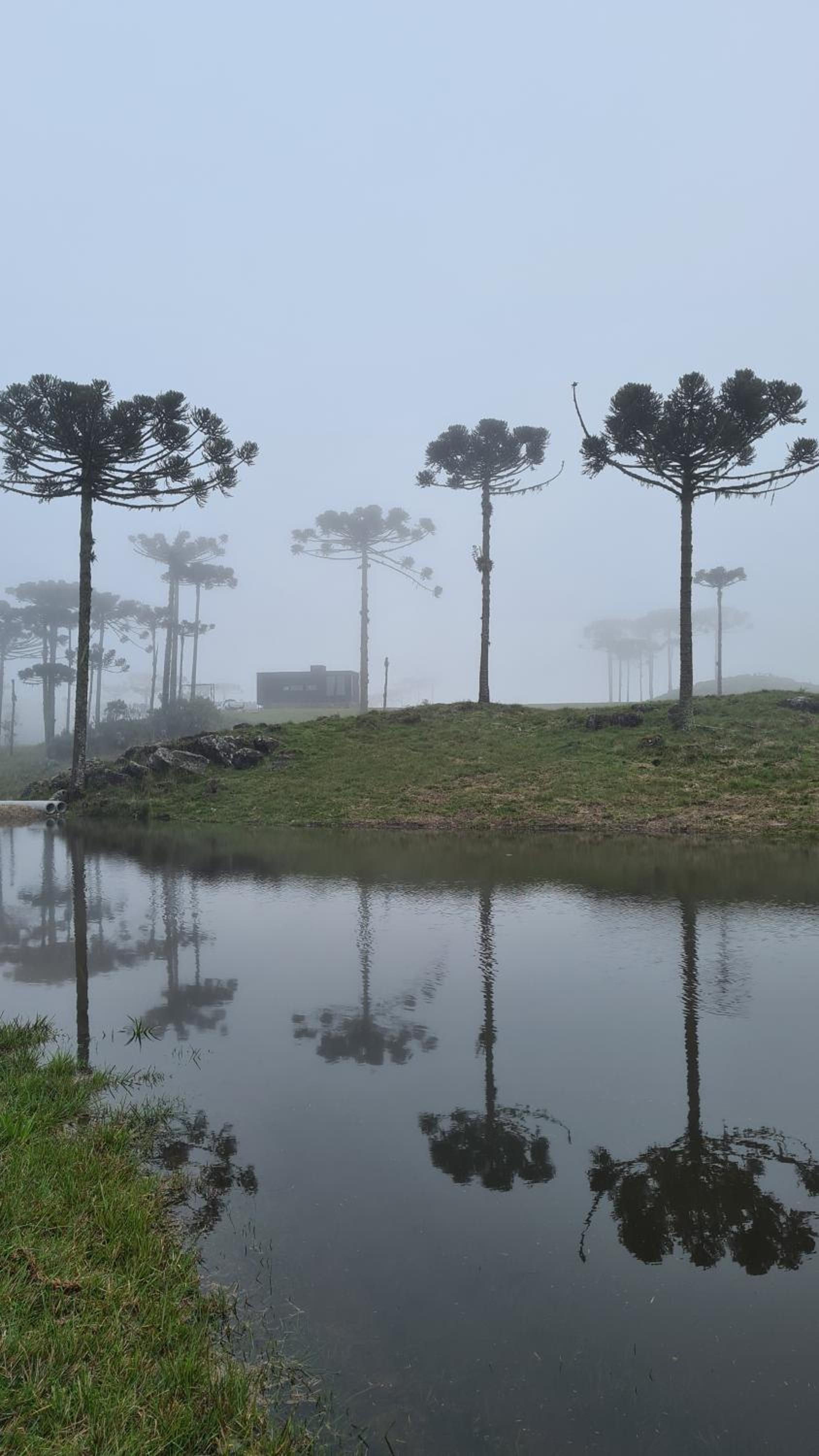 Brumas Casa de Campo - Cambará do Sul