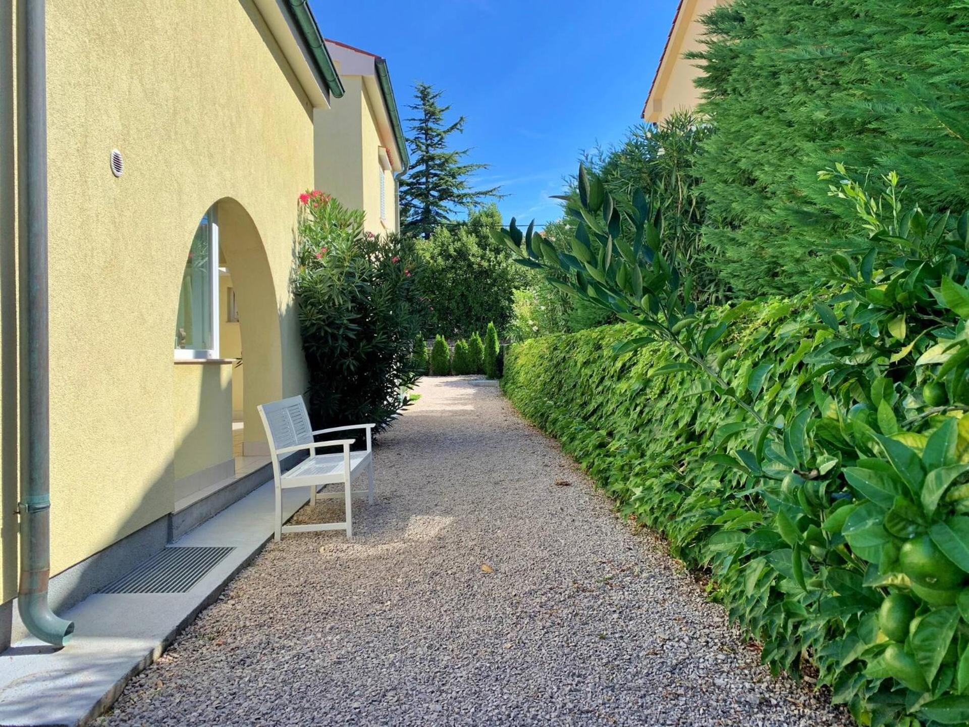 Photo 131