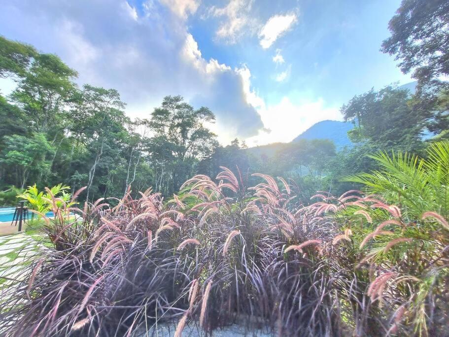 Casa Jardim das Montanhas