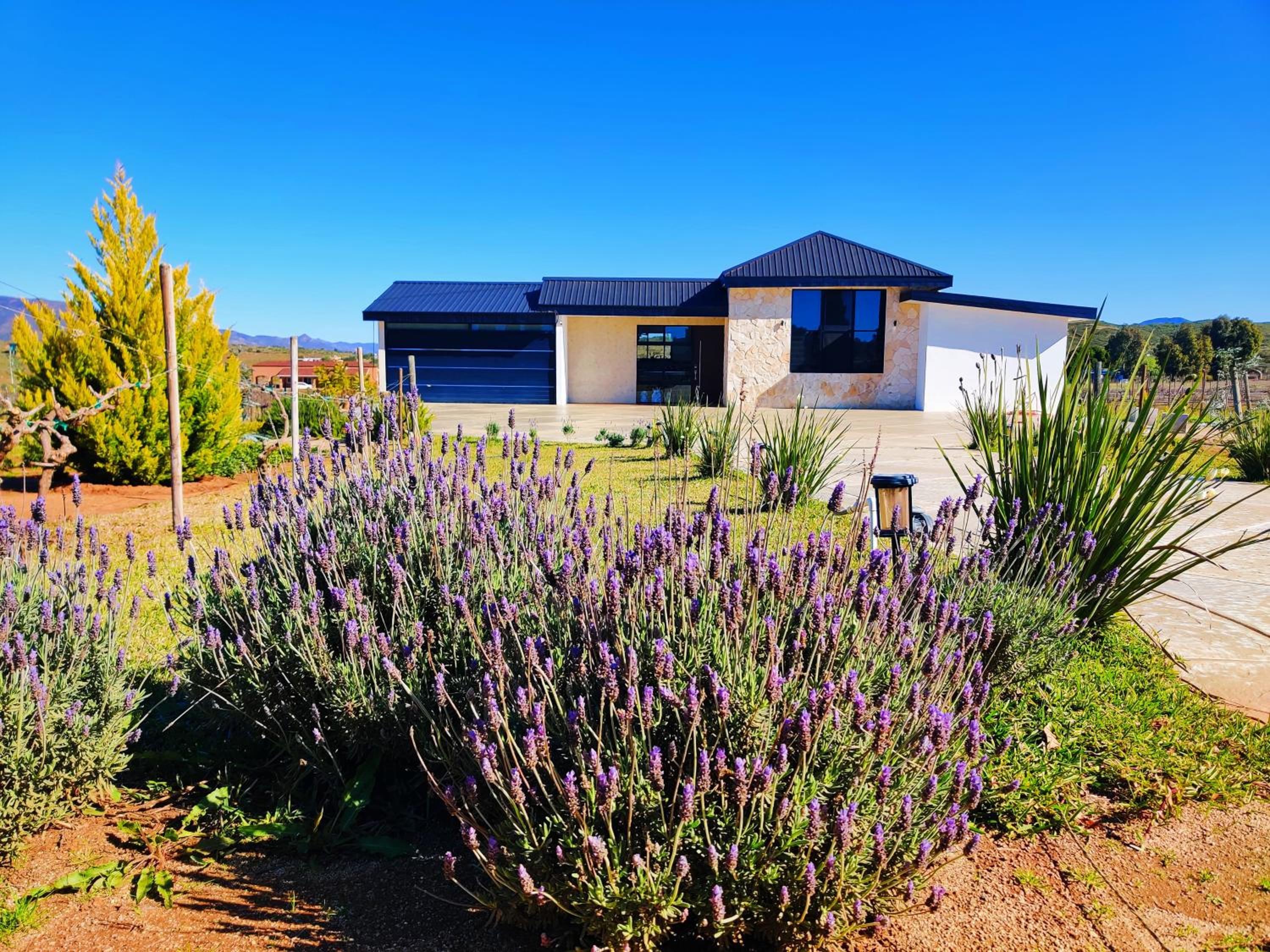 Casa Lynda's Valle de Guadalupe view 3