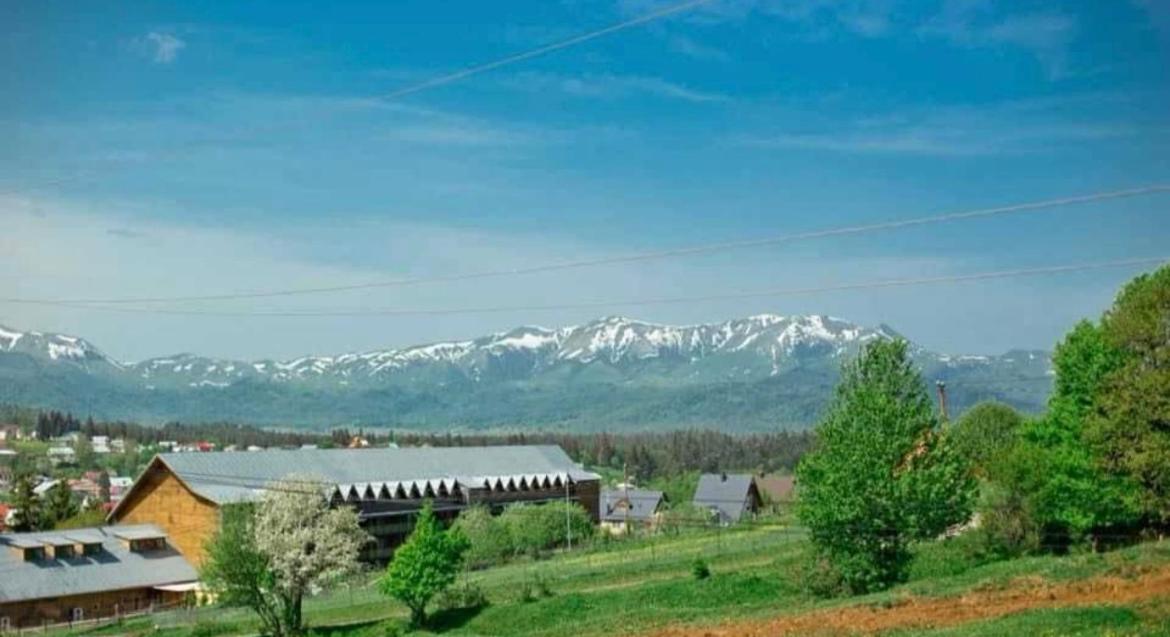 Villa Monte view 2