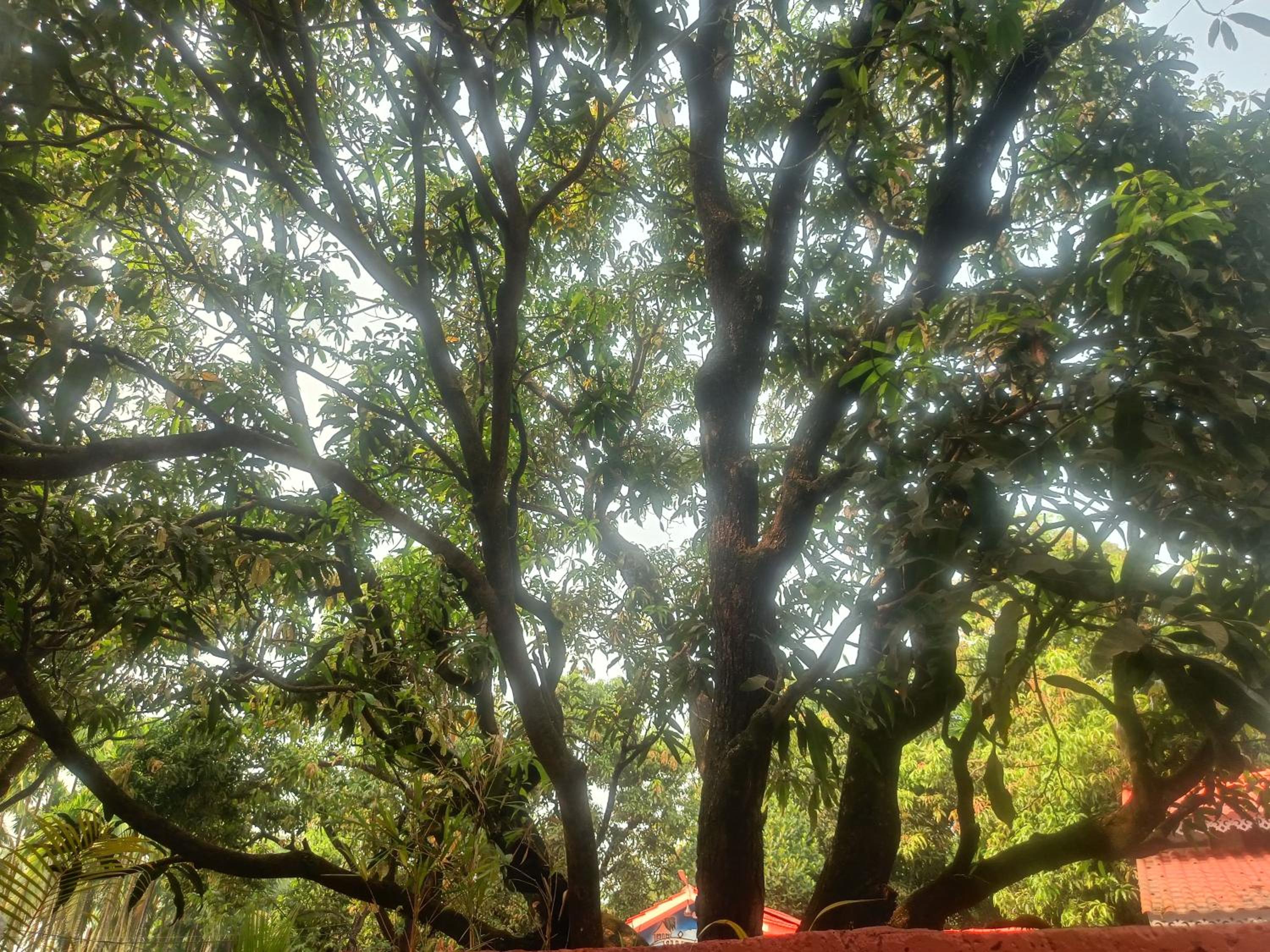 Shantadurga Beachside Homestay