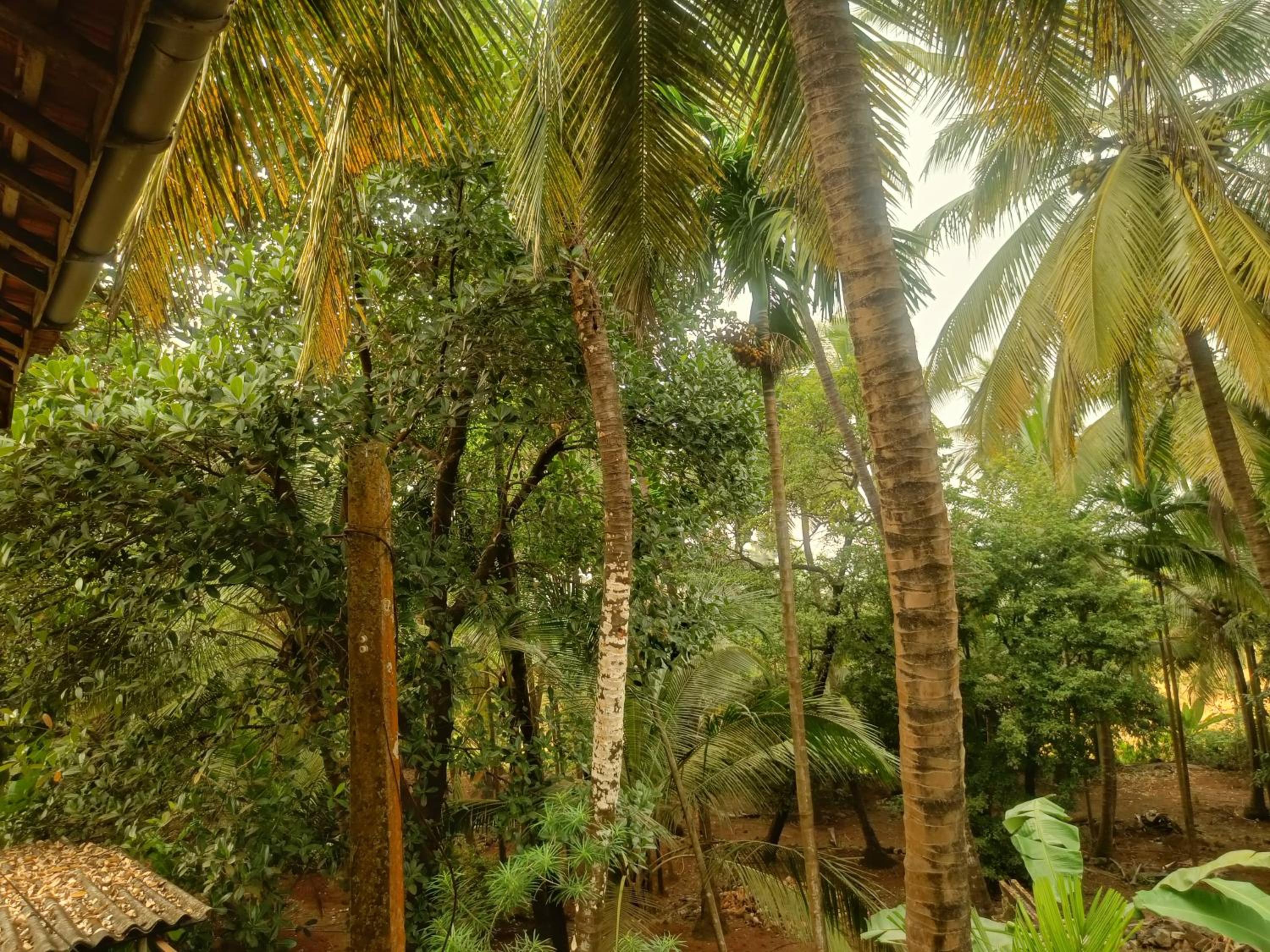 Shantadurga Beachside Homestay