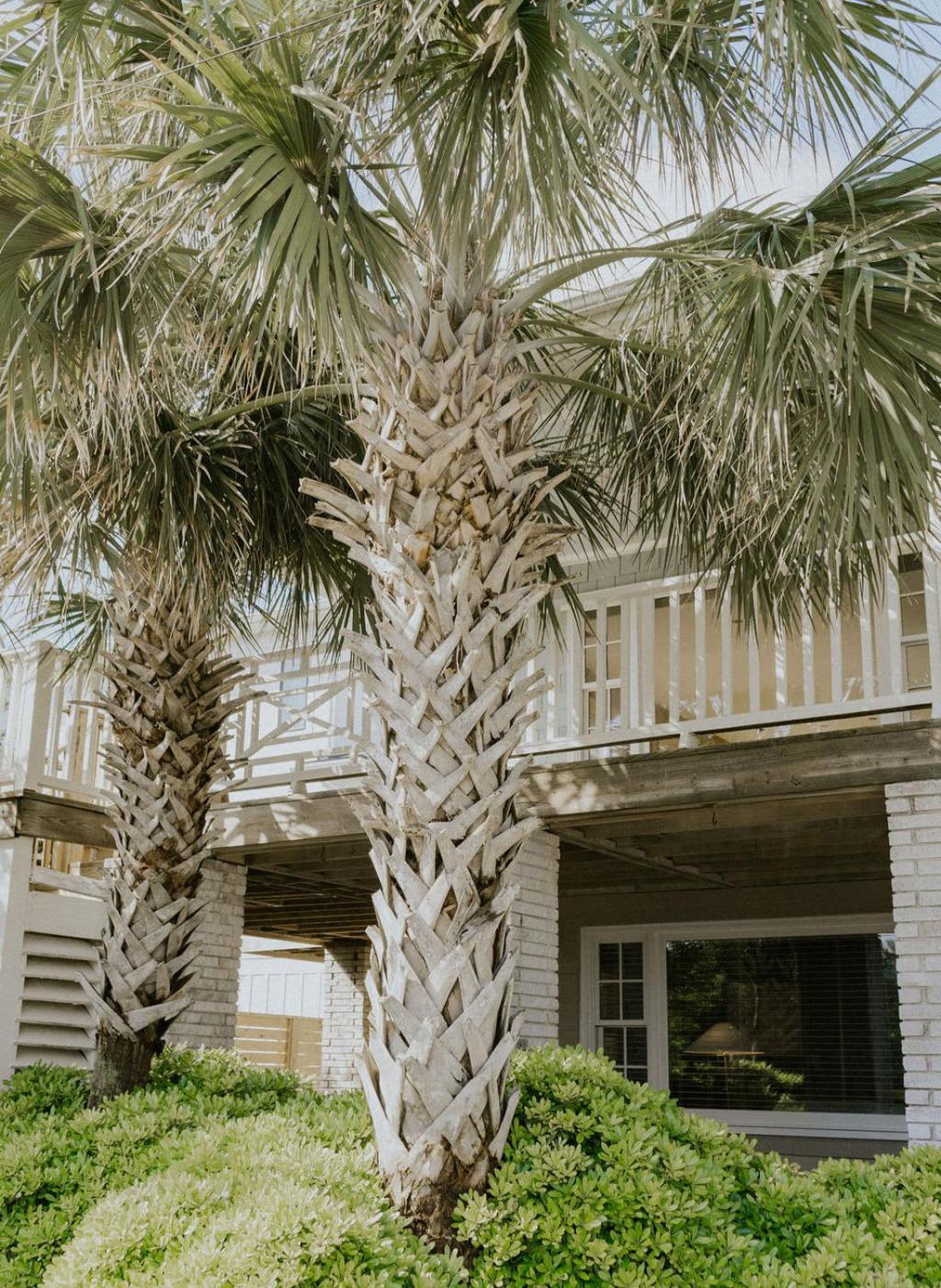 Palmetto Cottage