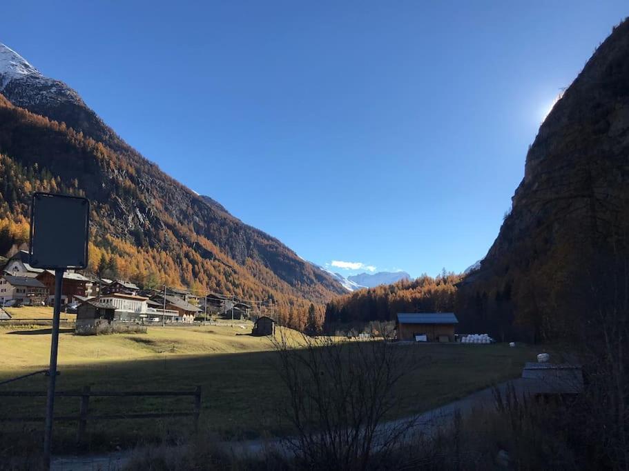 Studio Nina with Garage Direct train to Zermatt
