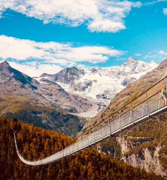 Studio Nina with Garage Direct train to Zermatt
