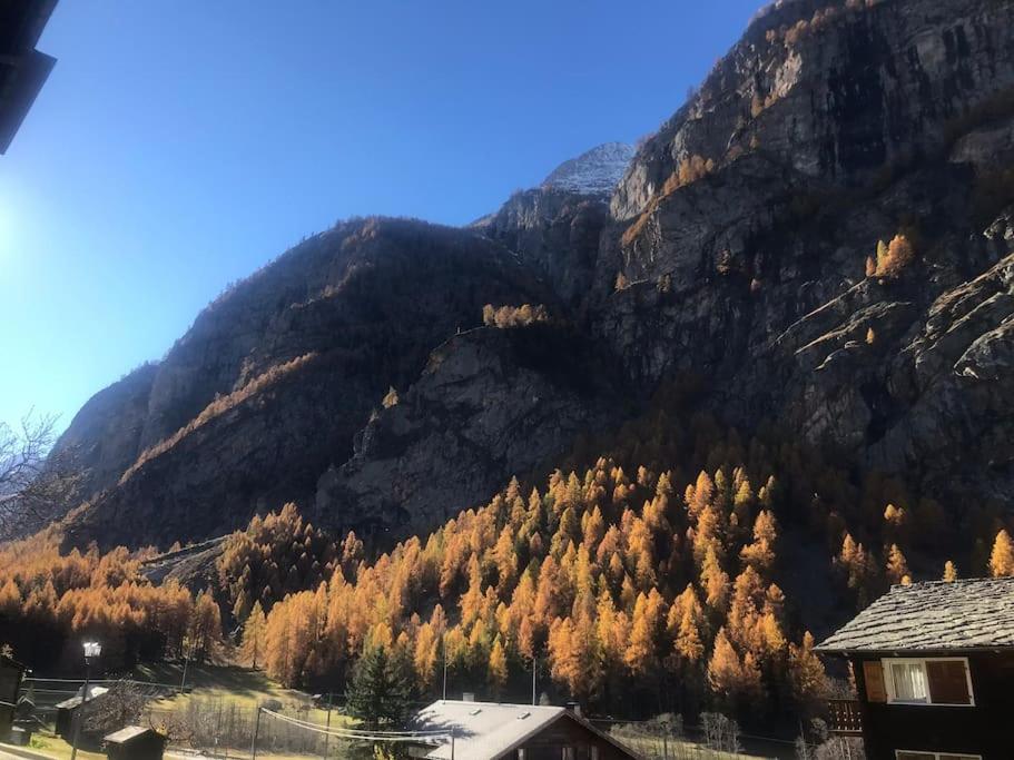 Studio Nina with Garage Direct train to Zermatt