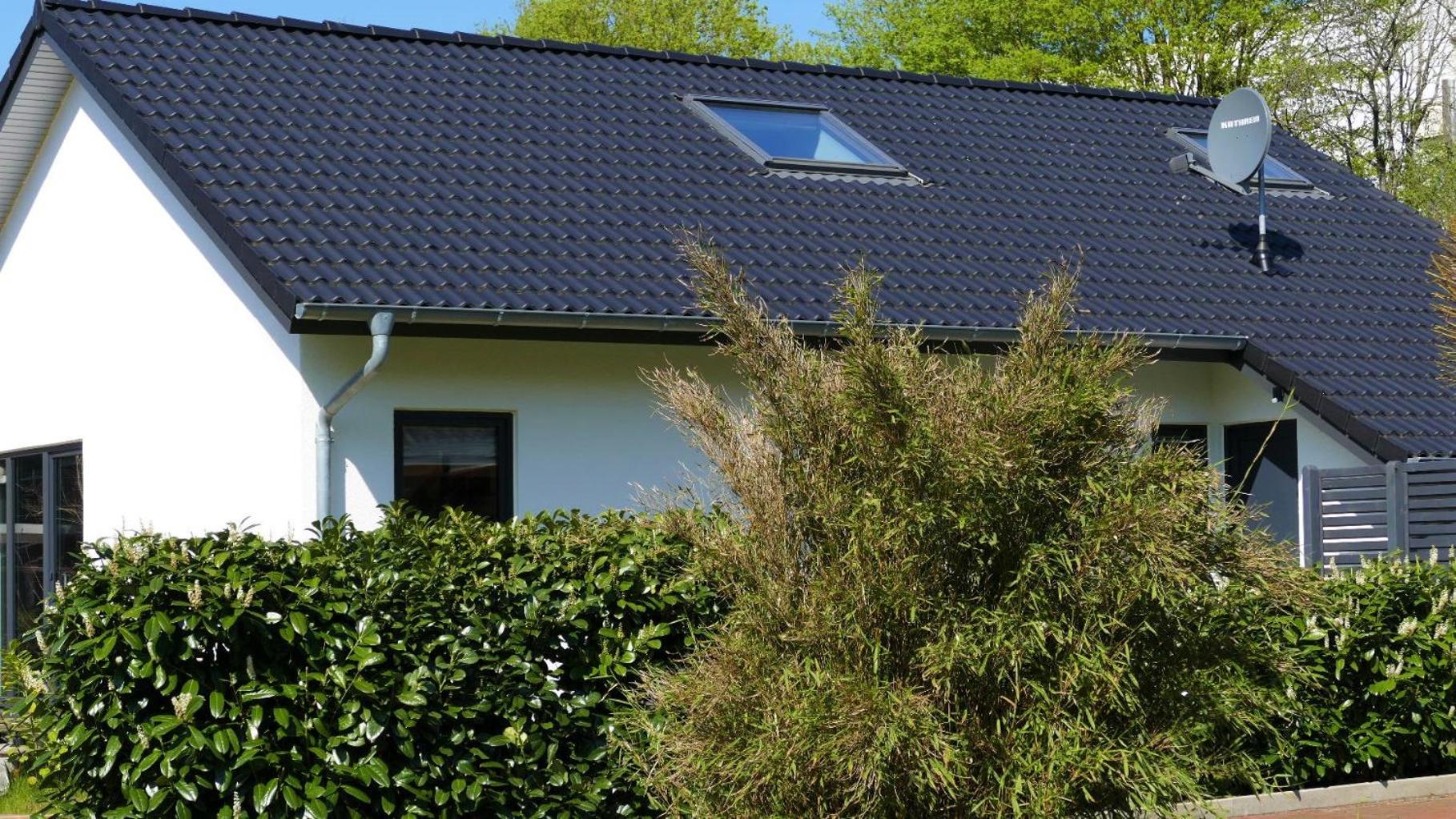 Lieblingsort am Moor