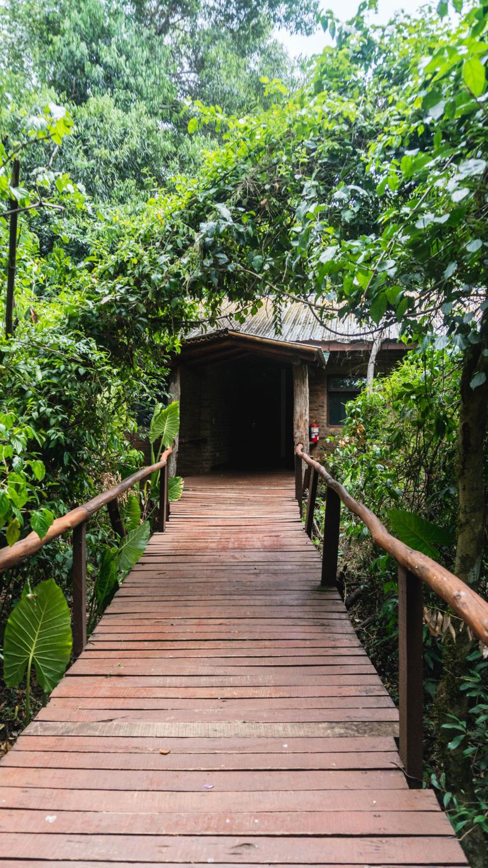 La Aldea De La Selva Lodge