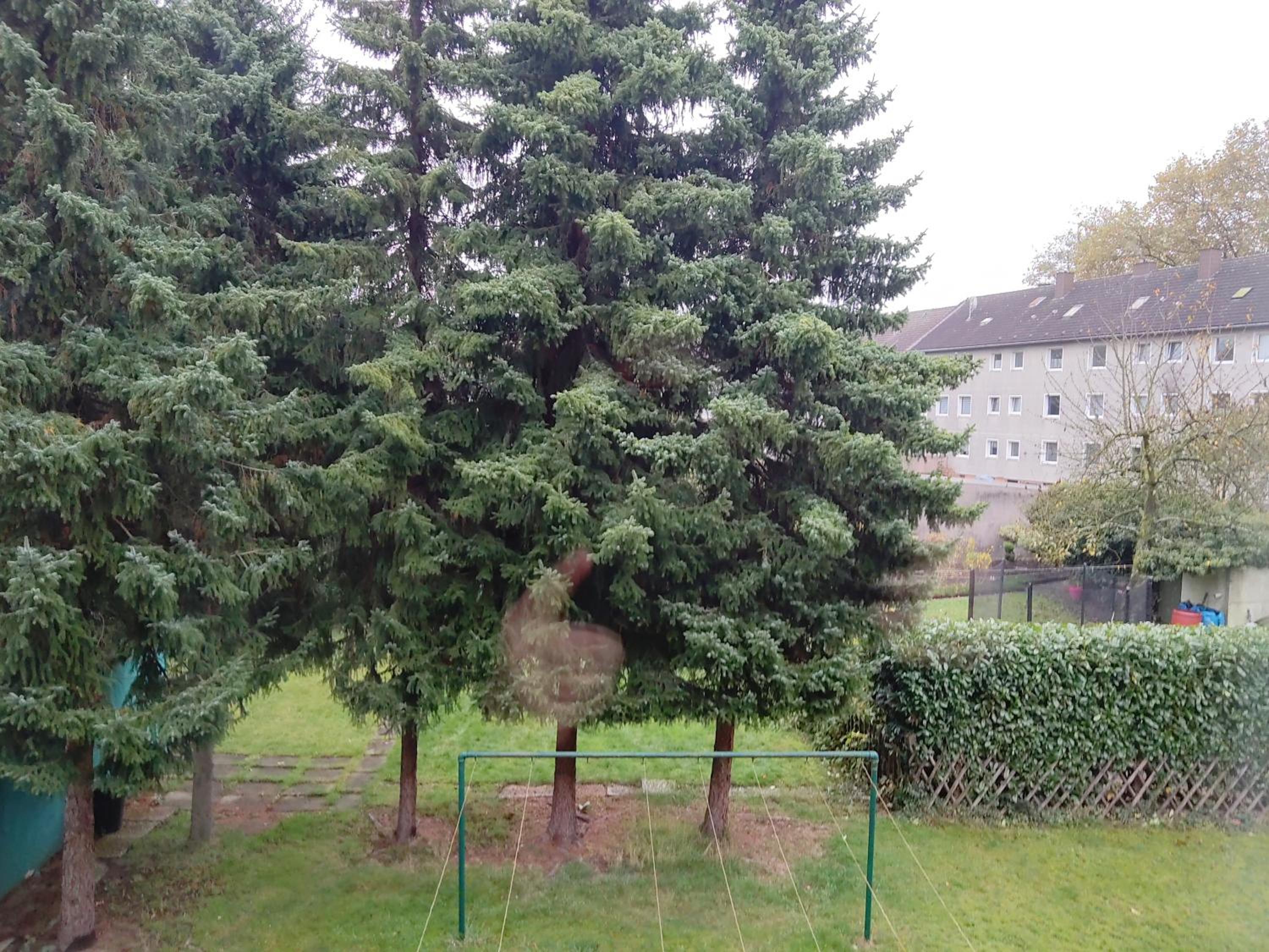 Komfortables und ruhiges Apartment