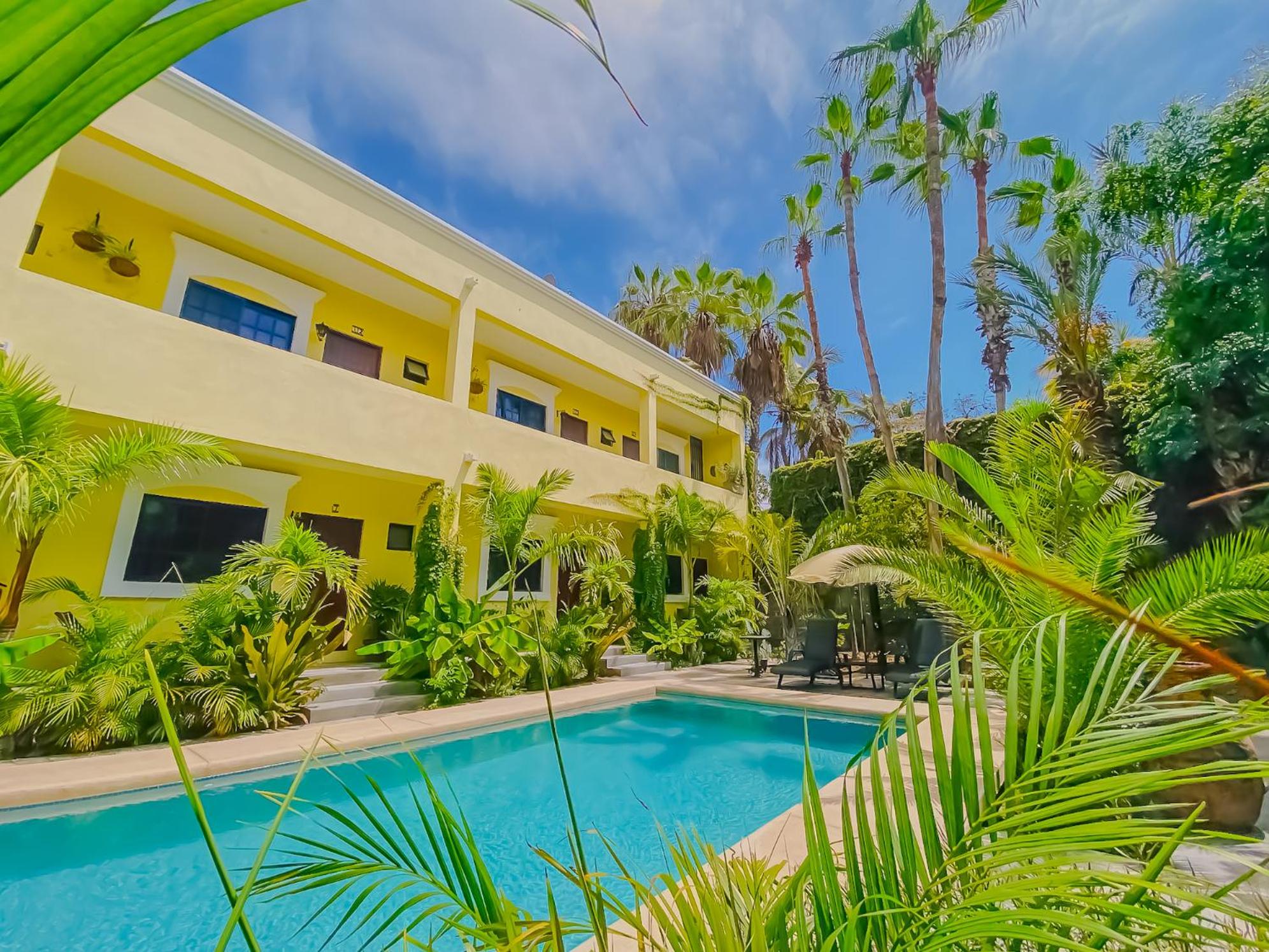 Gallo Azul Hotel, en el corazón de Todos Santos view 5