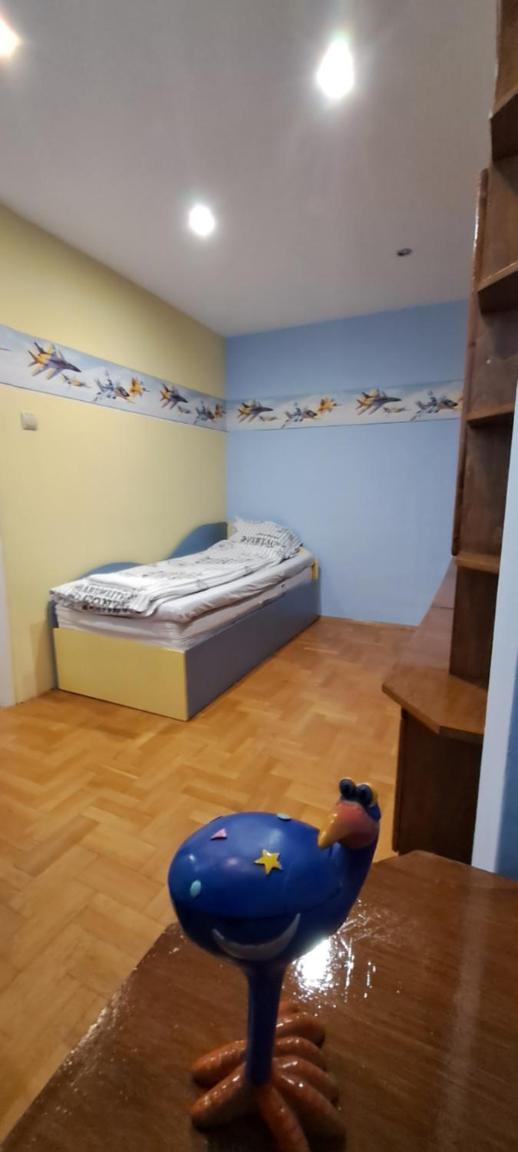 Blue apartment