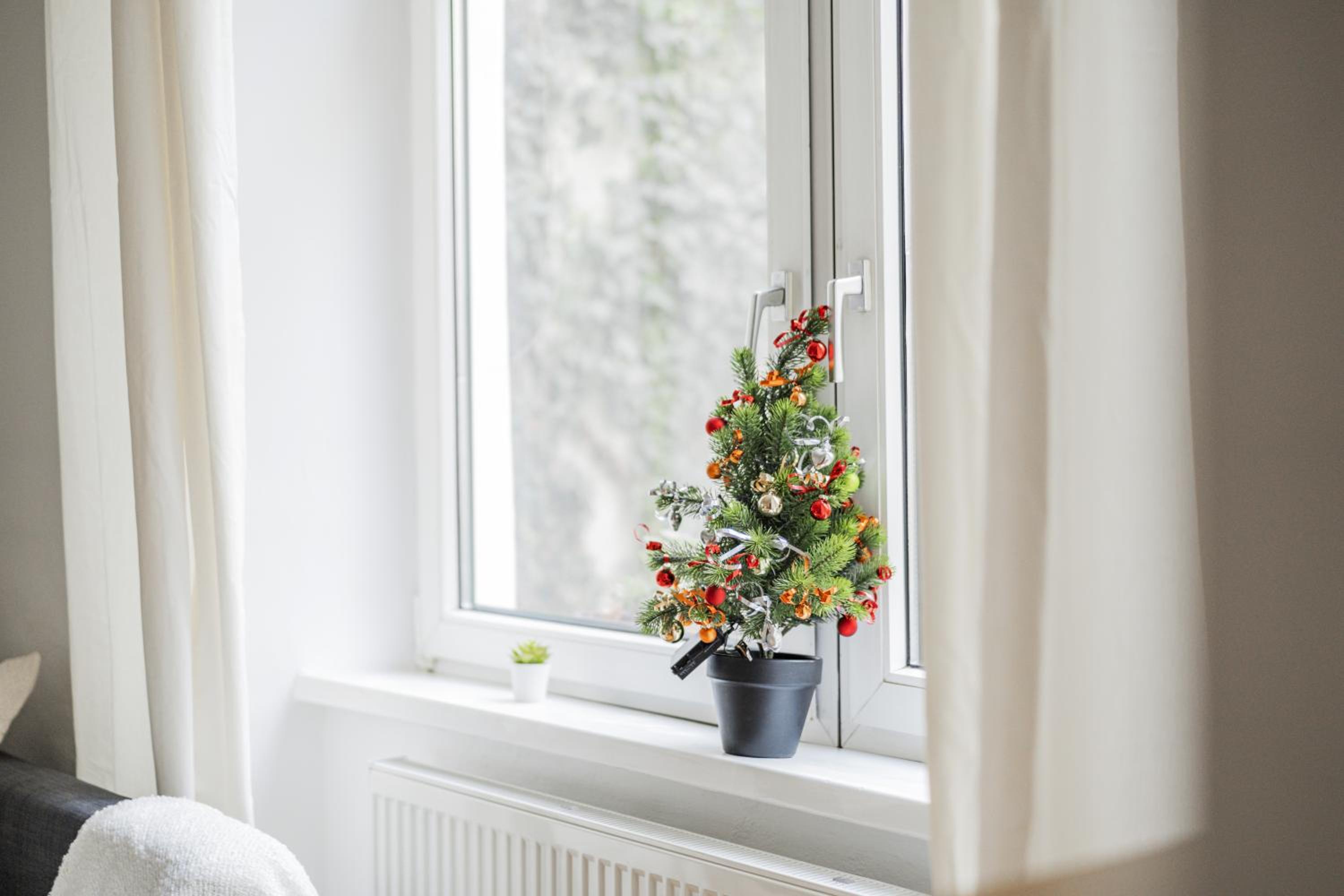 Cosy Central Apartment