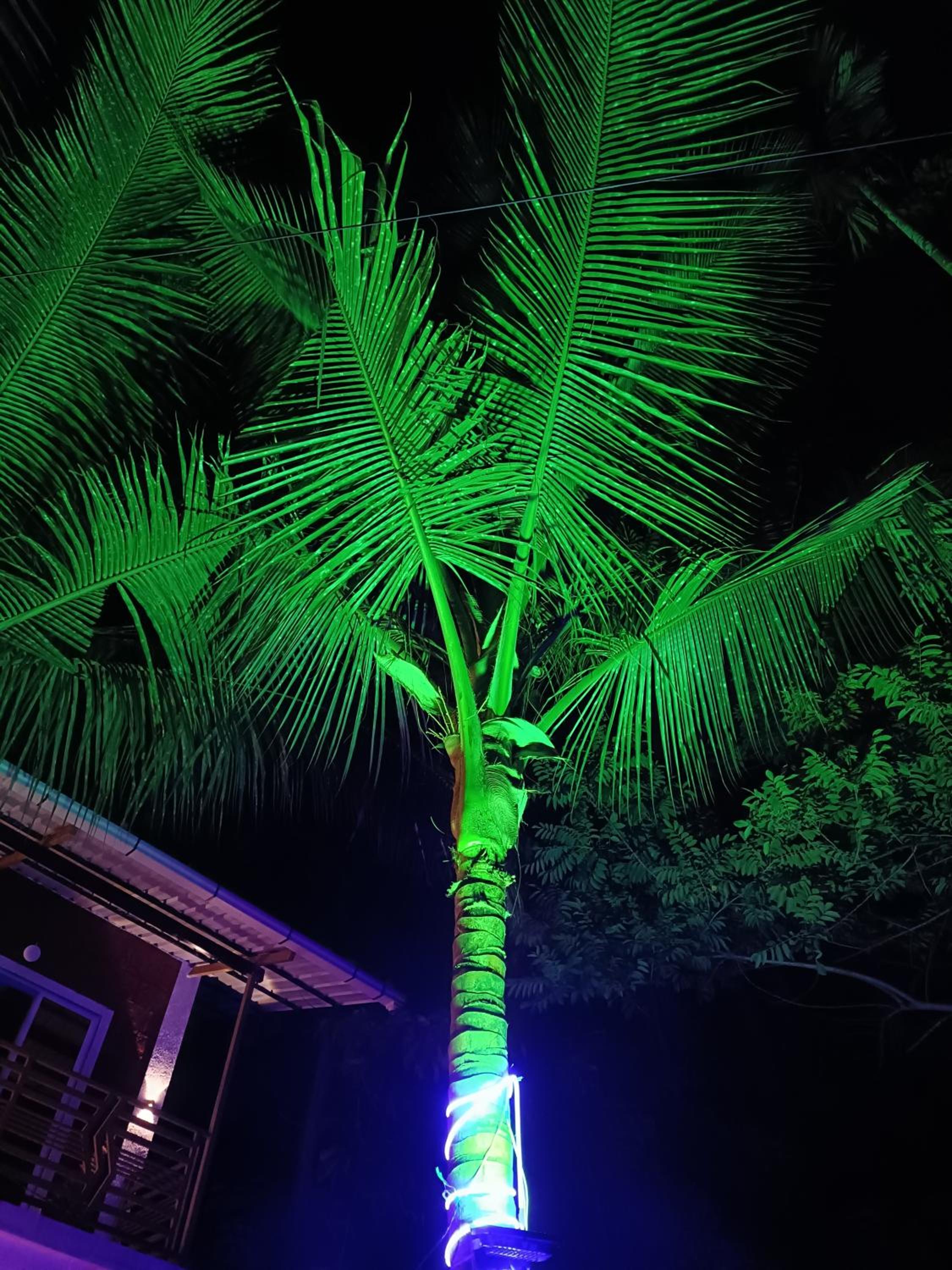 PNP NIVAS Holiday Home view 4