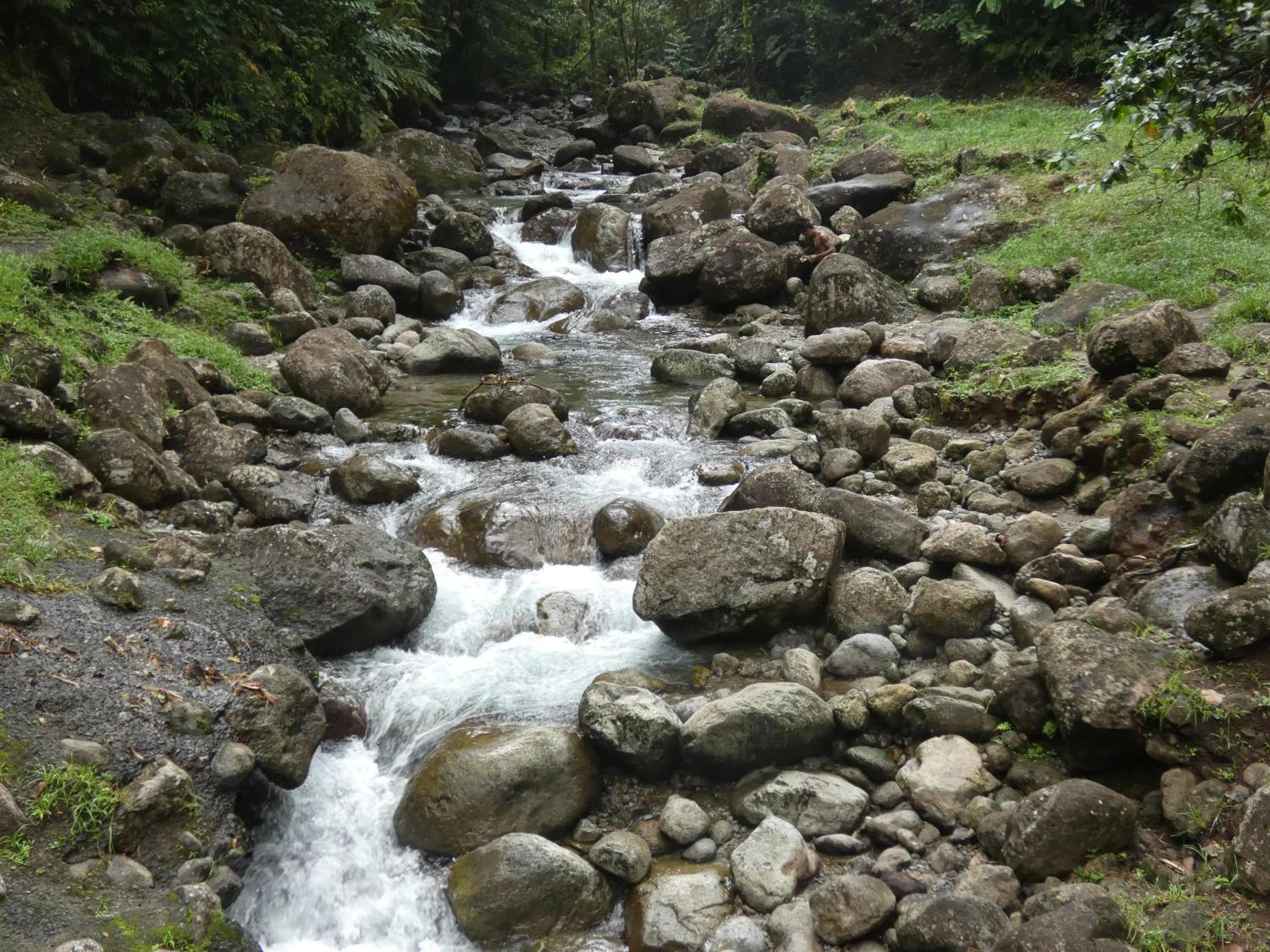 Photo 14