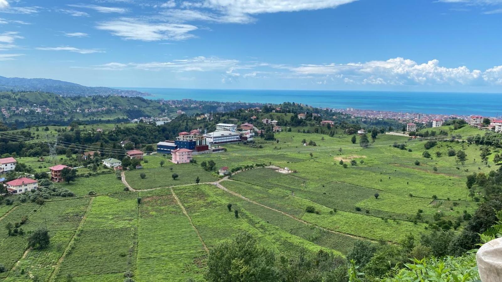 Bologina Suit Bungalov