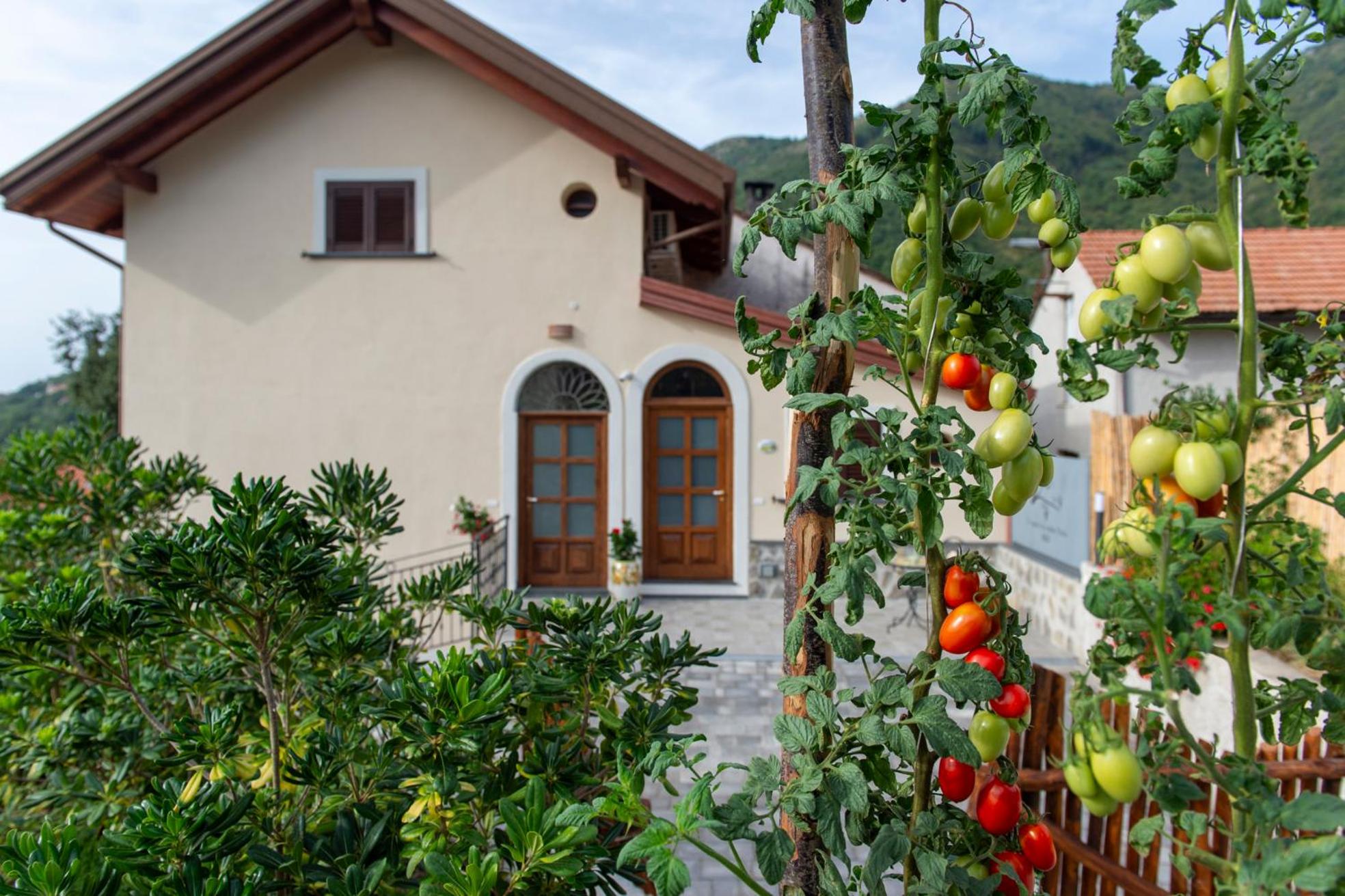 Il Vigneto di Nonno Pietro