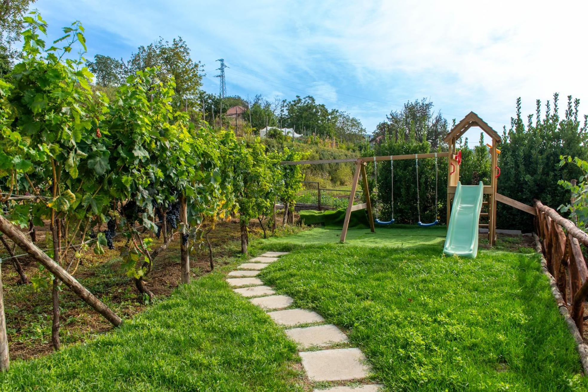 Il Vigneto di Nonno Pietro