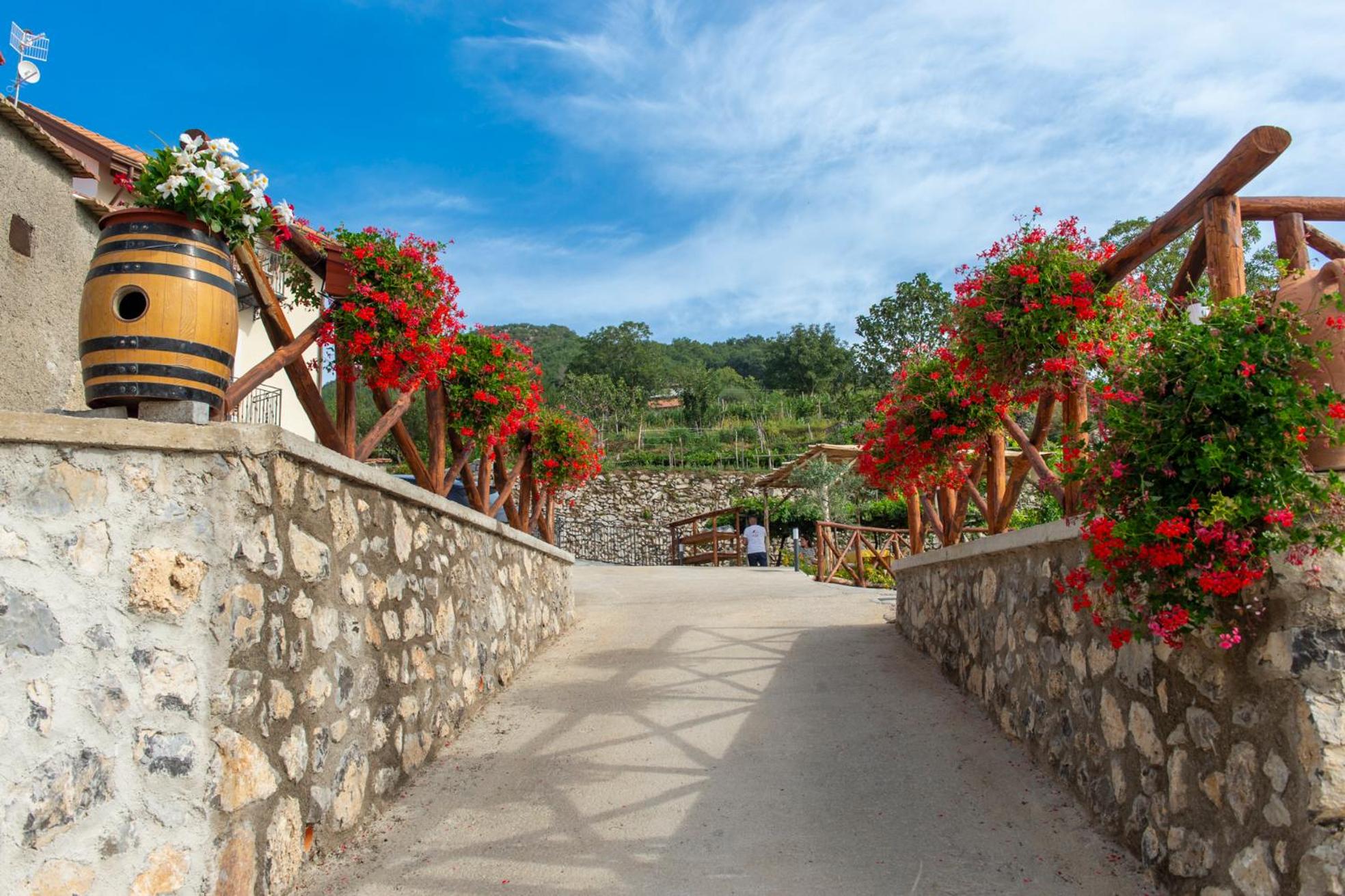 Il Vigneto di Nonno Pietro